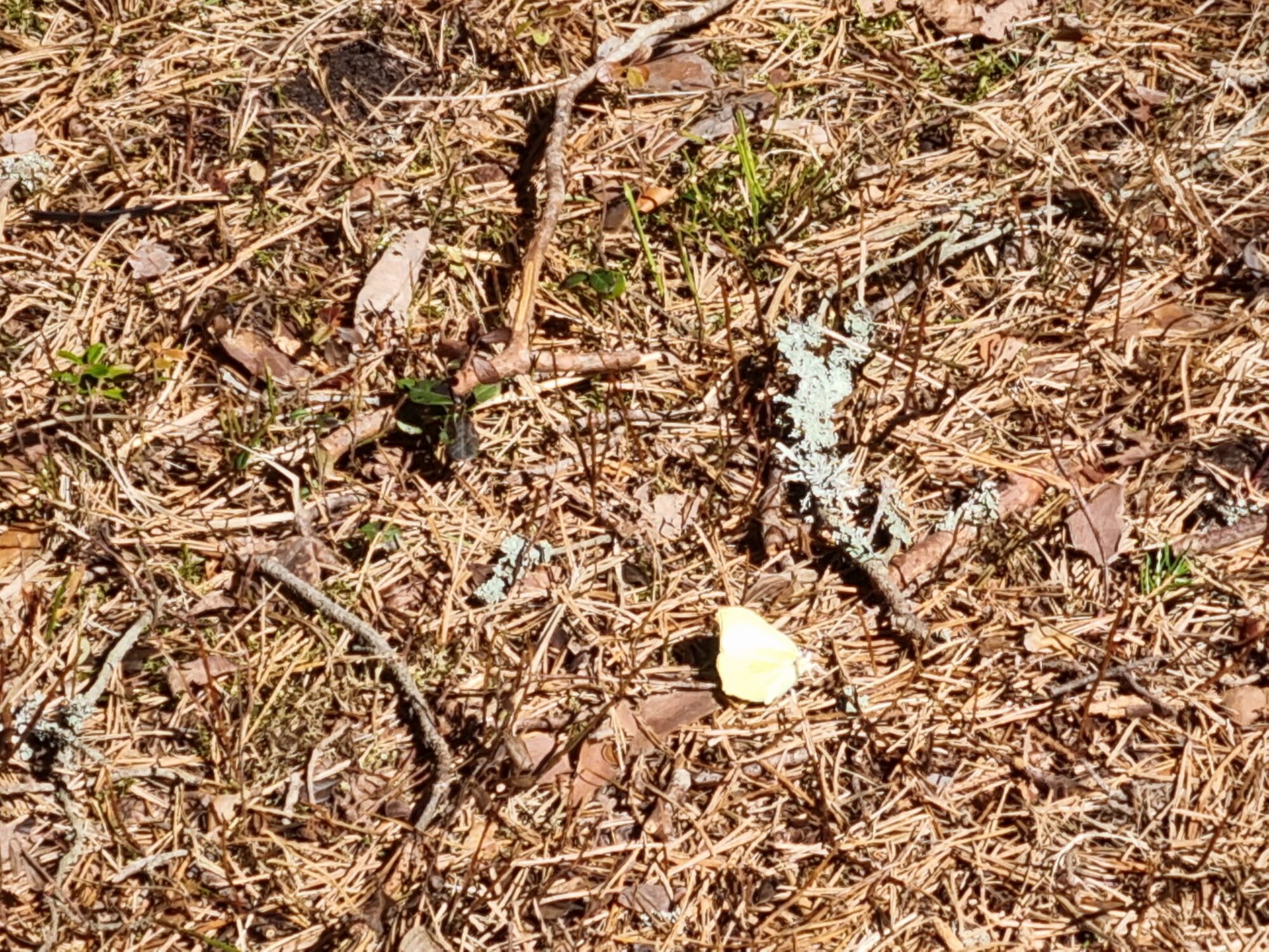 Valokuvaaja: Susanna Oksanen