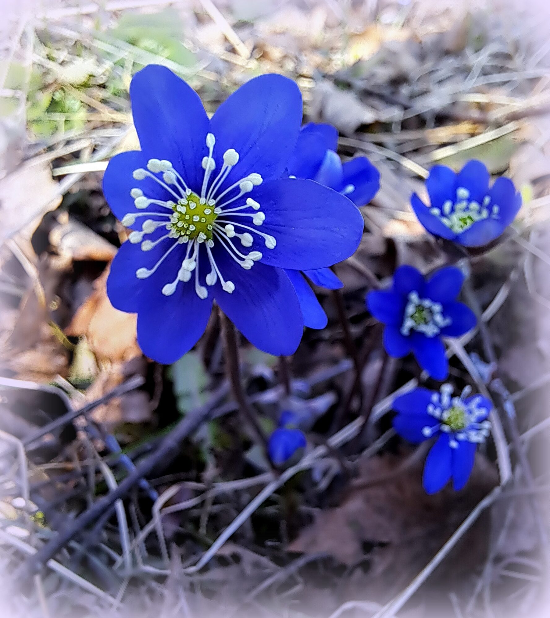 Valokuvaaja: Irja Lehtinen