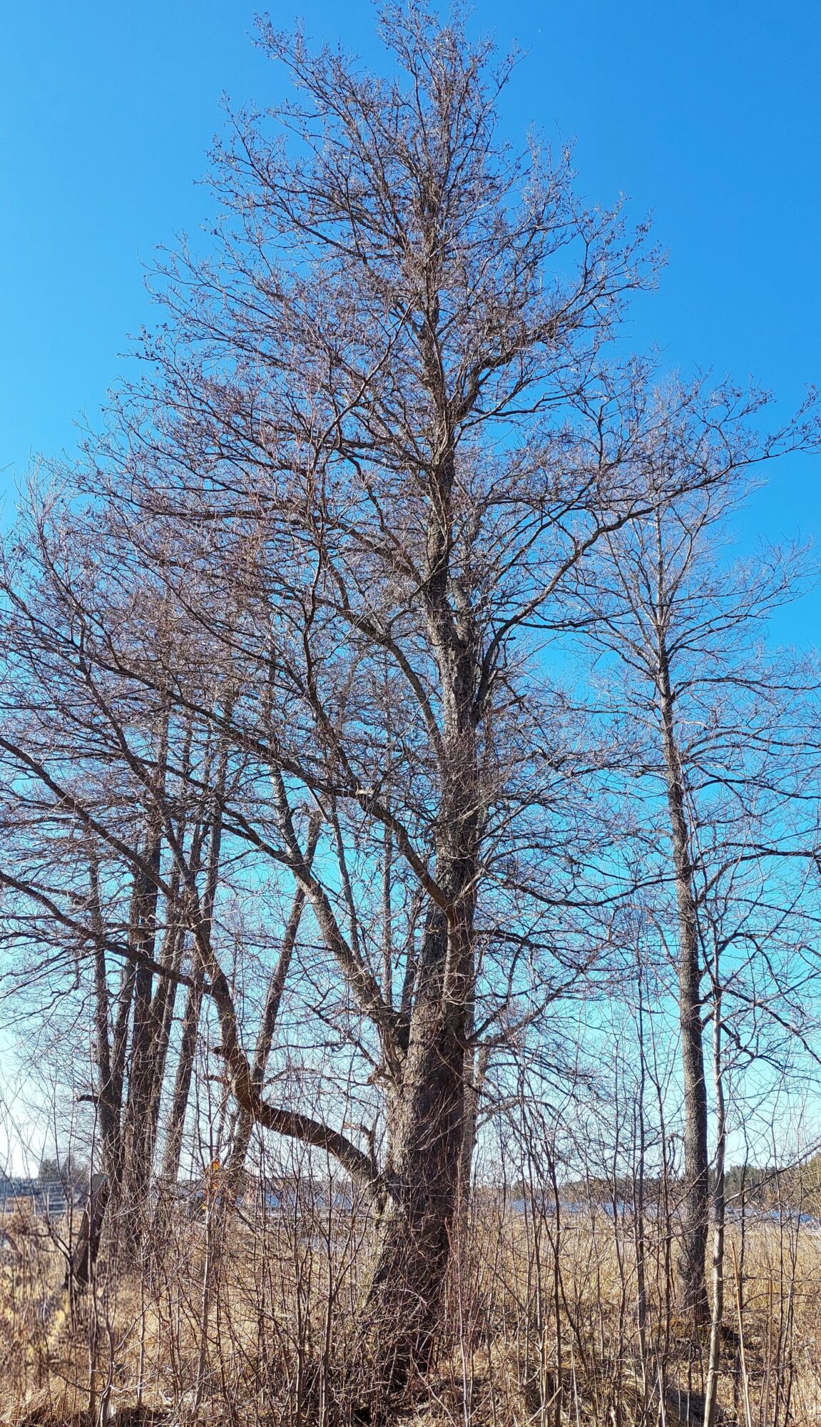 Valokuvaaja: Tarja Naukkarinen