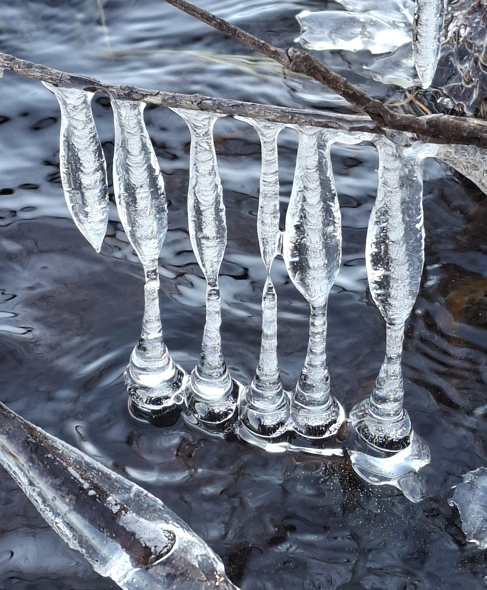 Valokuvaaja: Annikki Kärkkäinen