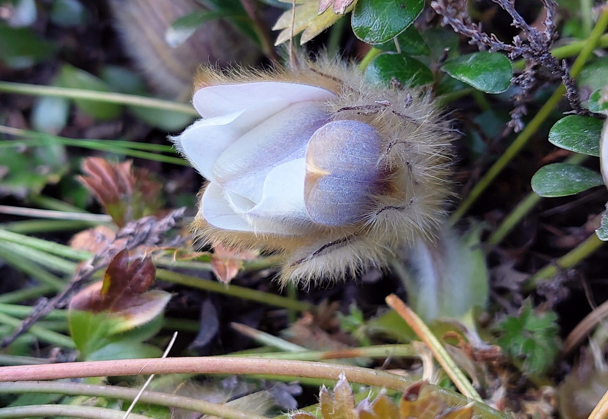 Valokuvaaja: Tarja Naukkarinen