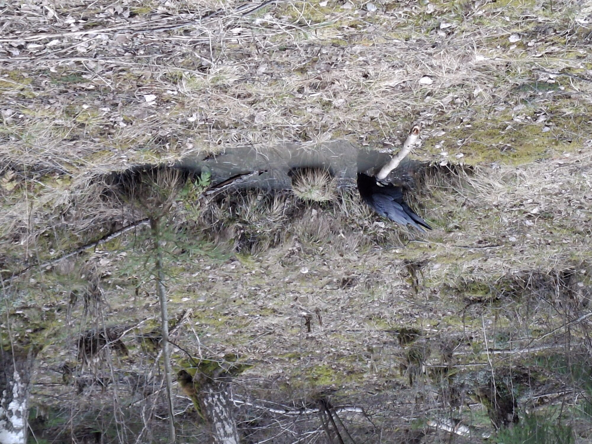 Valokuvaaja: Satu Suuntala