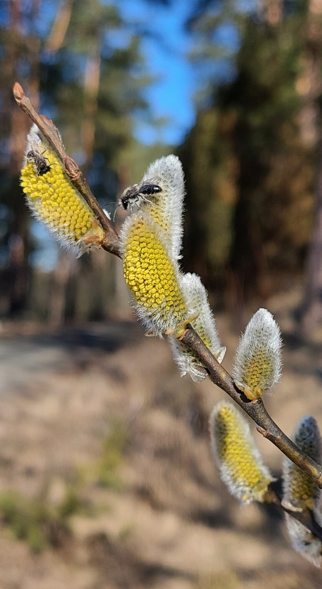 Valokuvaaja: Tarja Naukkarinen