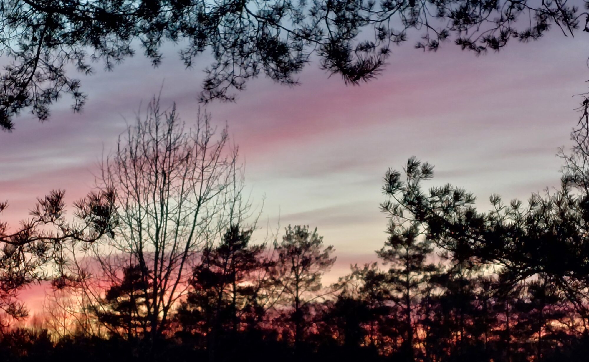 Valokuvaaja: Tarja Naukkarinen