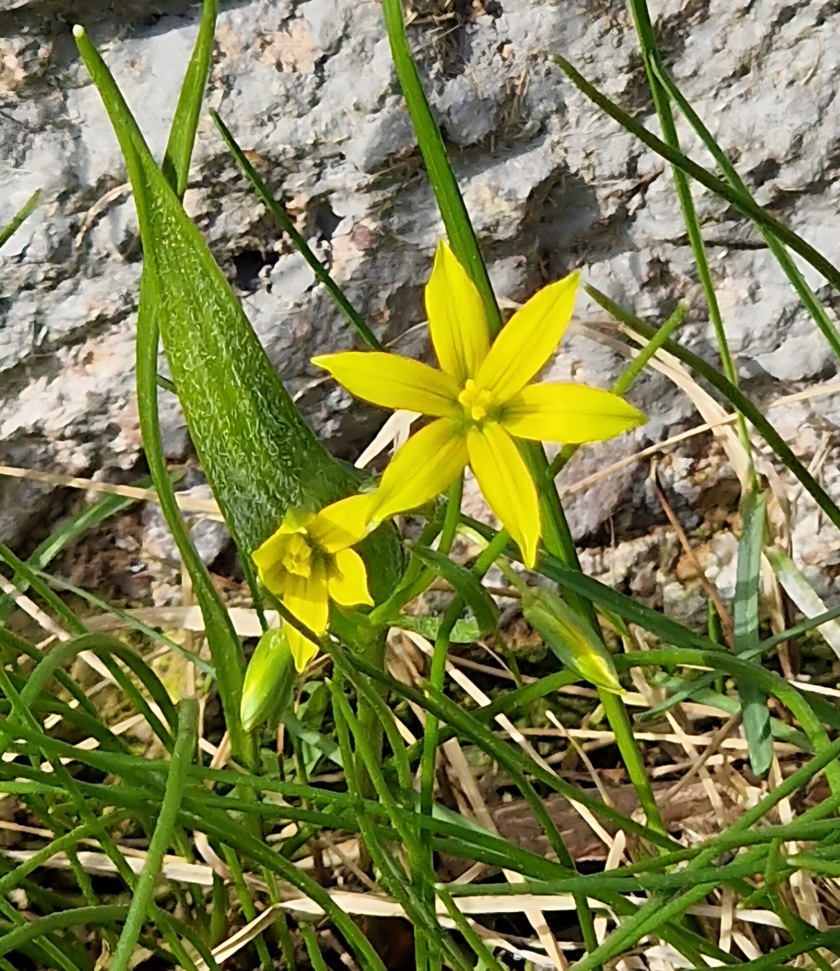 Valokuvaaja: Hanna Rönty
