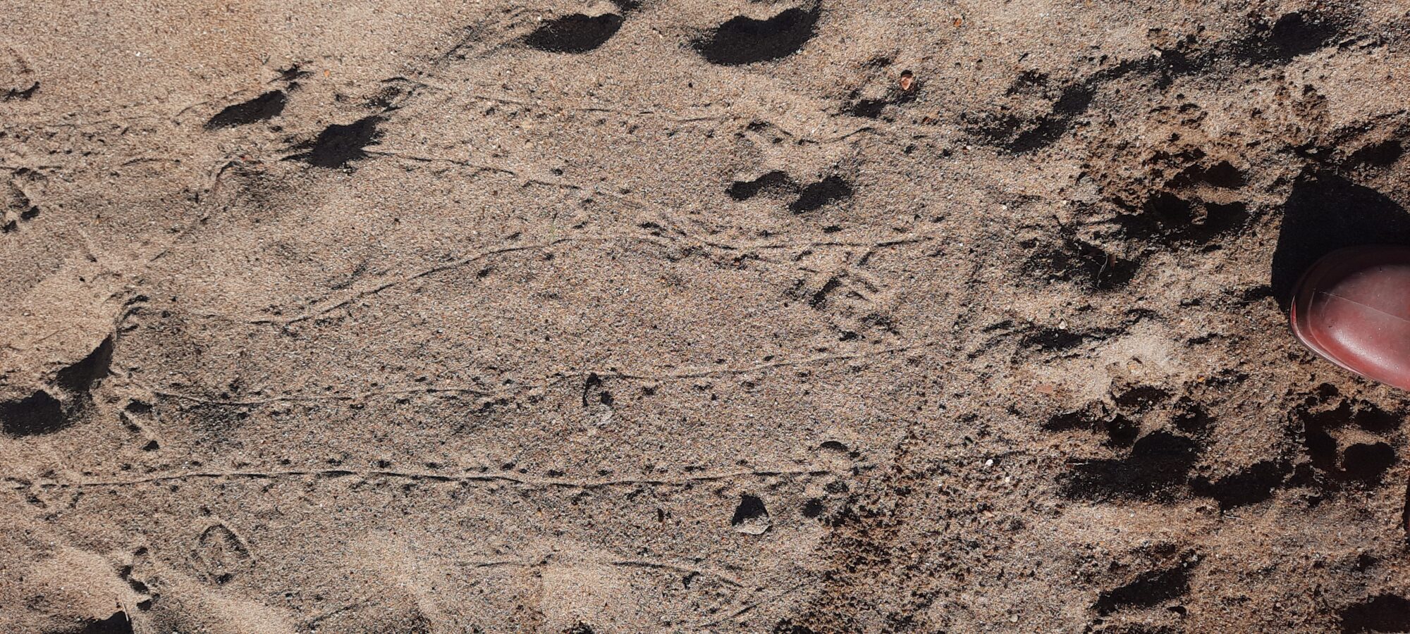 Valokuvaaja: Anni Hiltunen