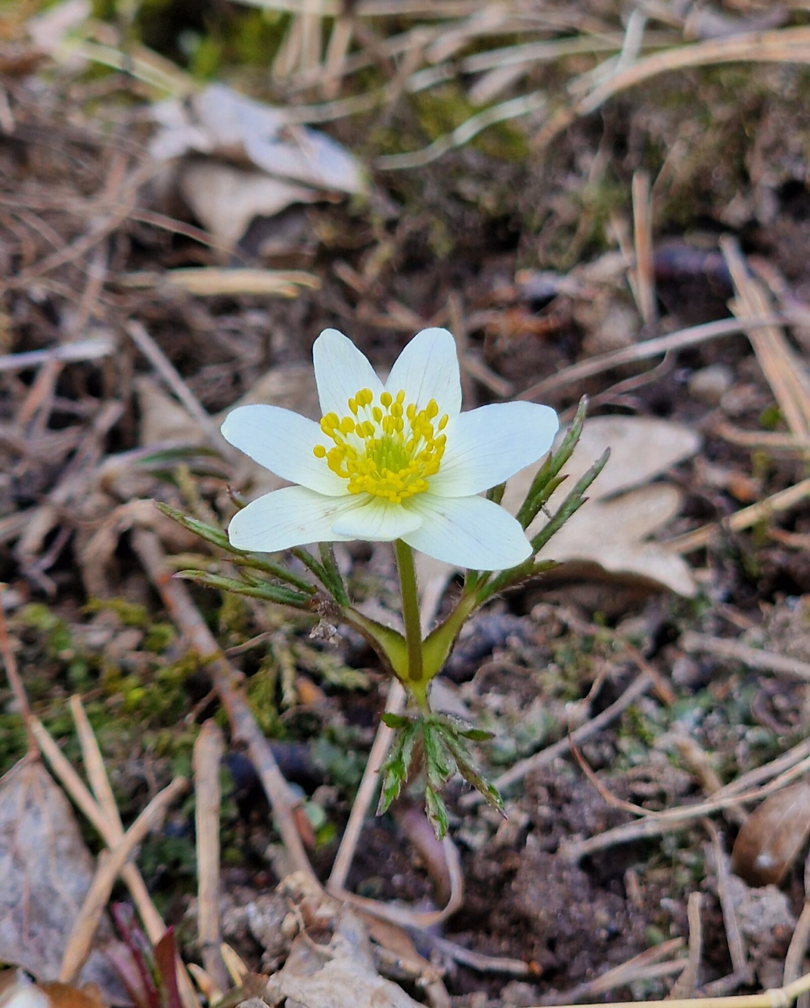 Valokuvaaja: Hanna Rönty