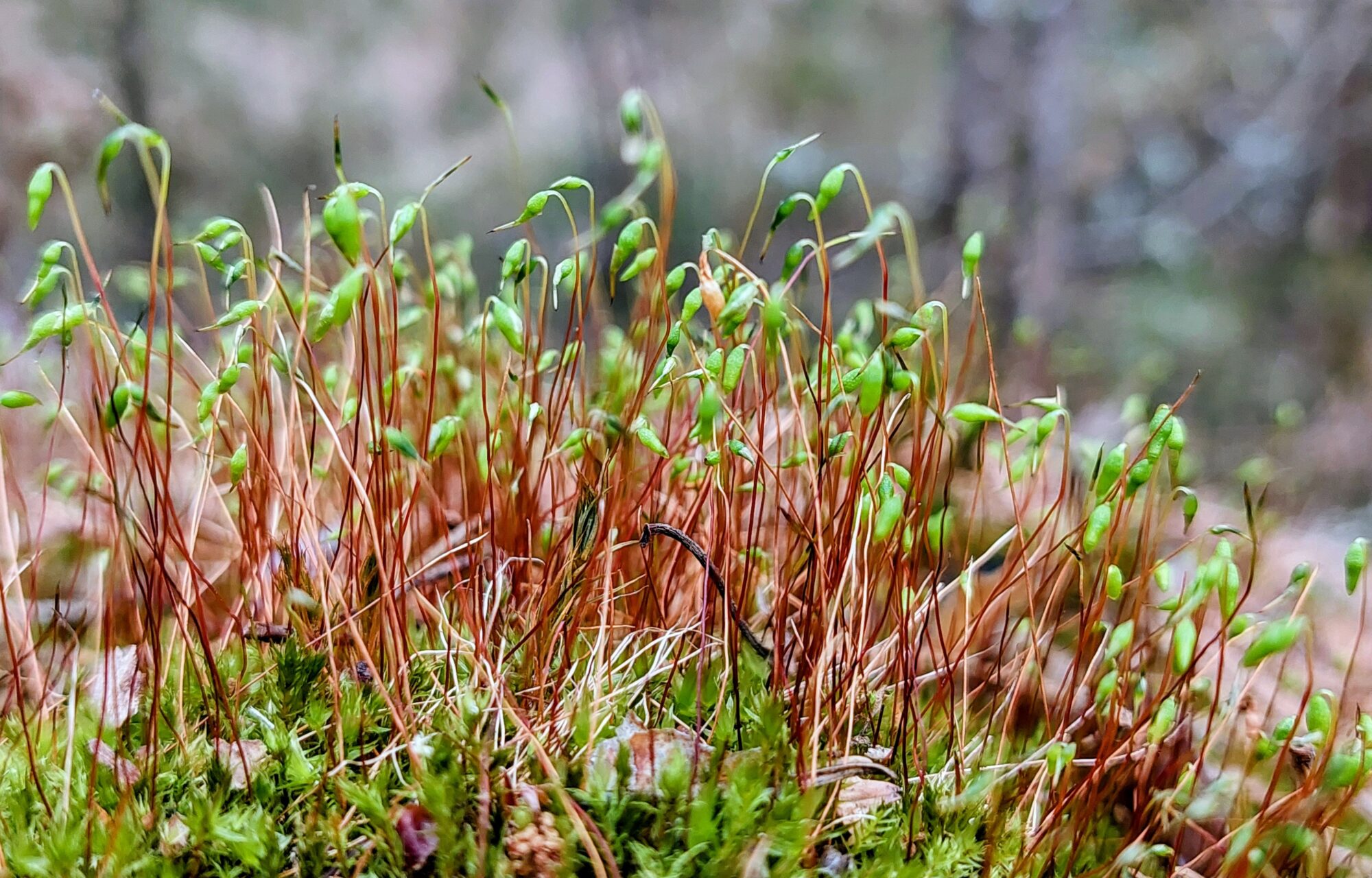 Valokuvaaja: Tarja Naukkarinen