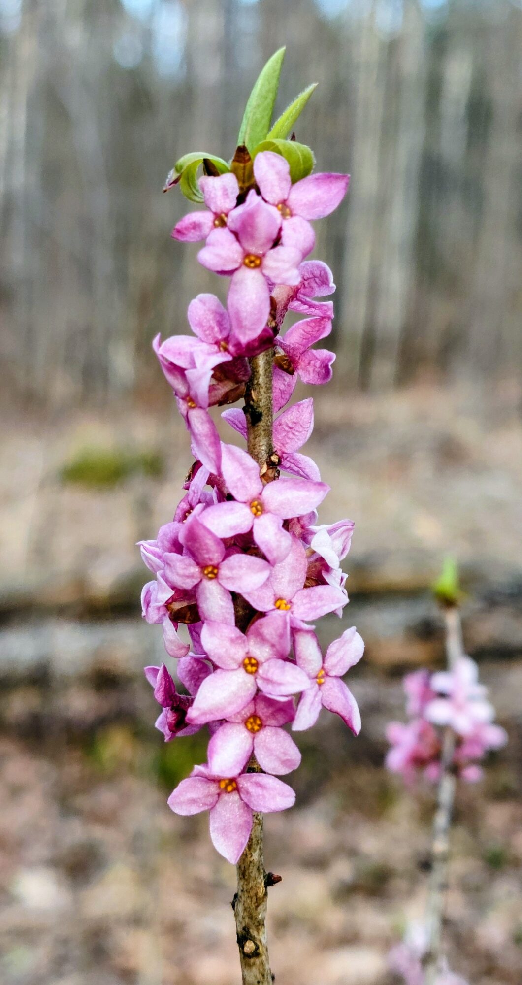 Valokuvaaja: Tarja Naukkarinen