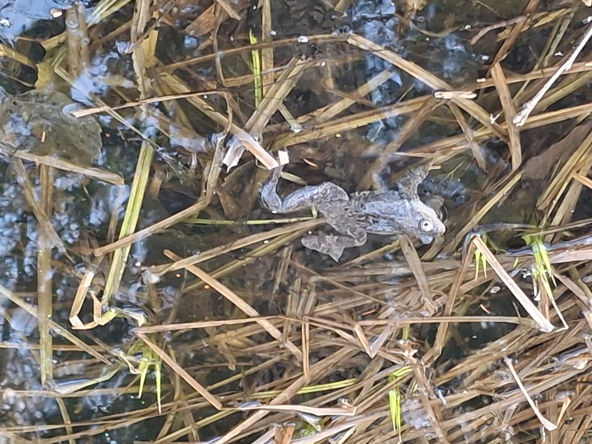 Valokuvaaja: Satu Suuntala