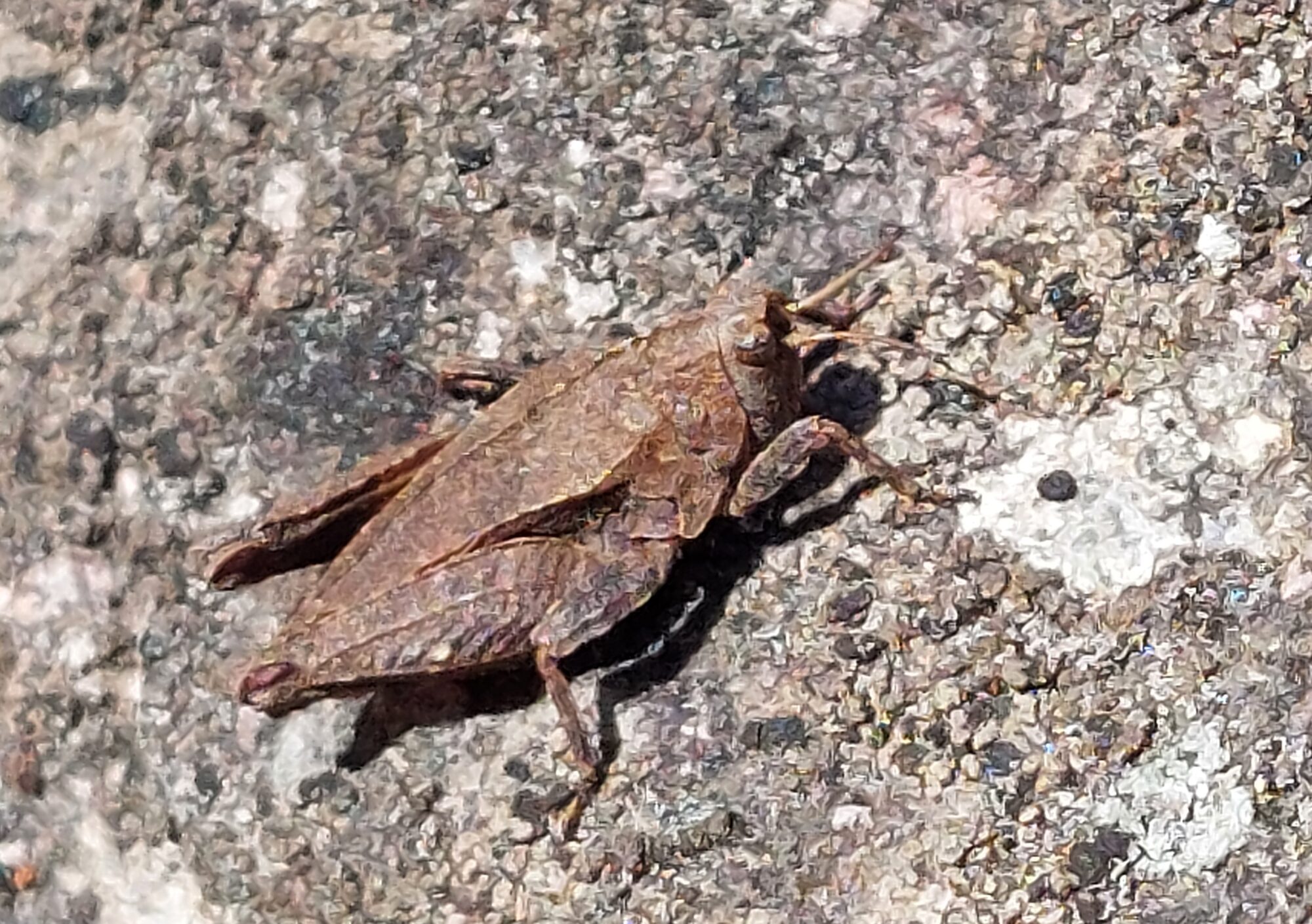 Valokuvaaja: Tarja Naukkarinen