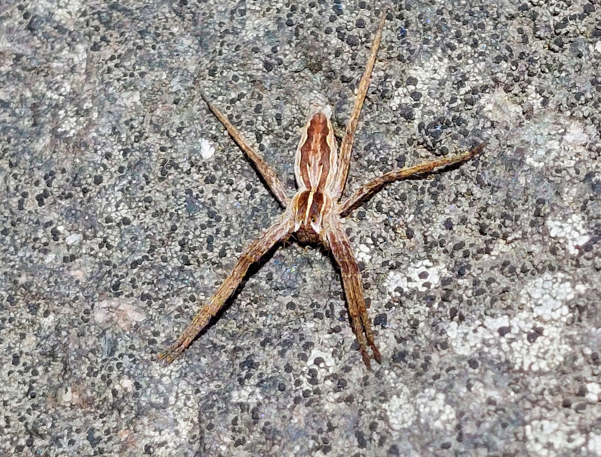 Valokuvaaja: Tarja Naukkarinen