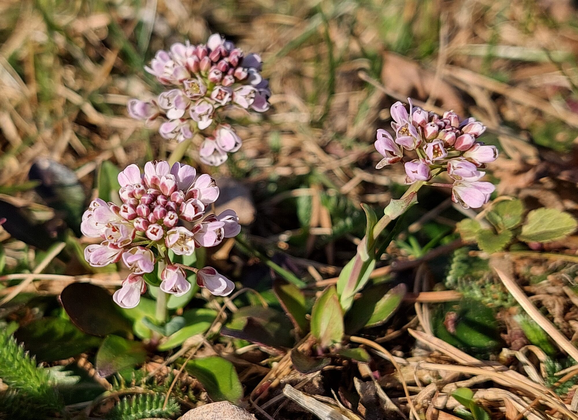 Valokuvaaja: Tarja Naukkarinen
