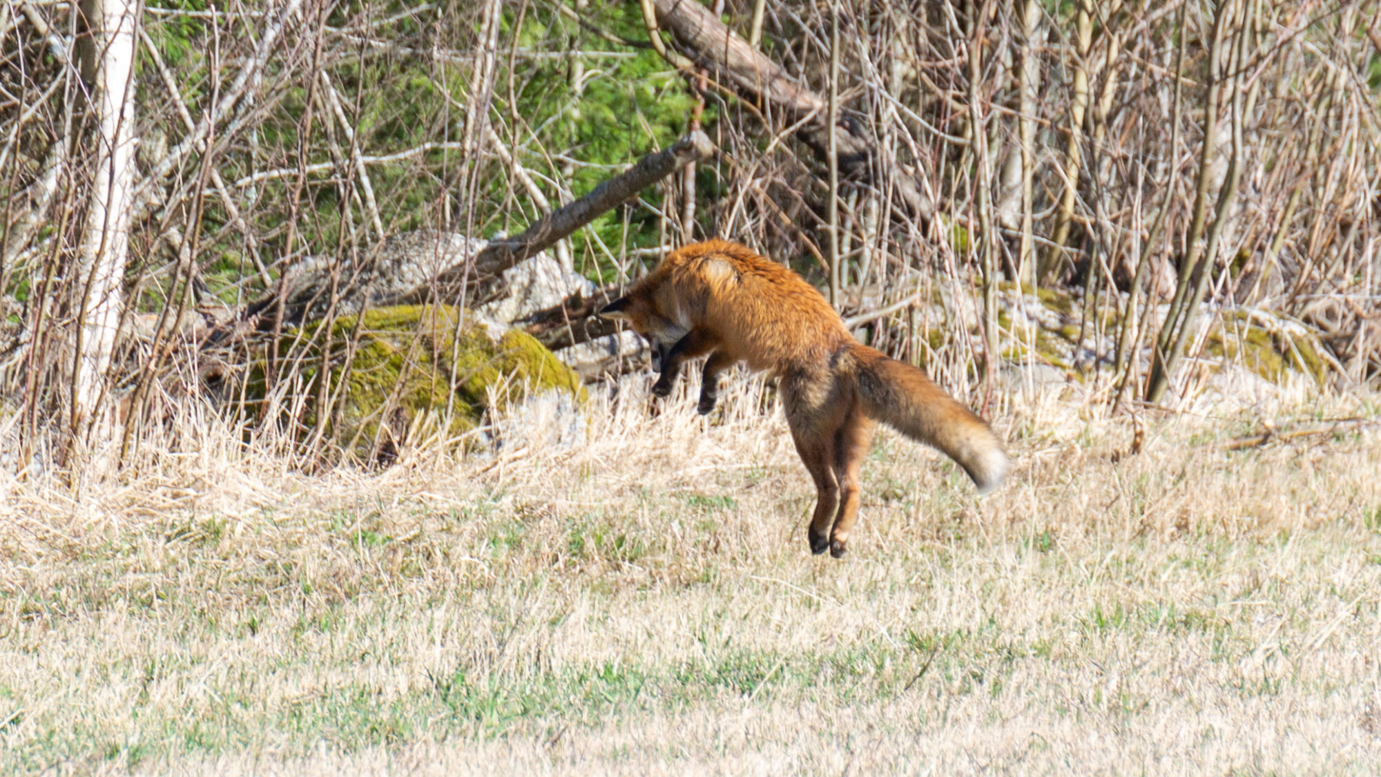 Valokuvaaja: Helena Minkkilä