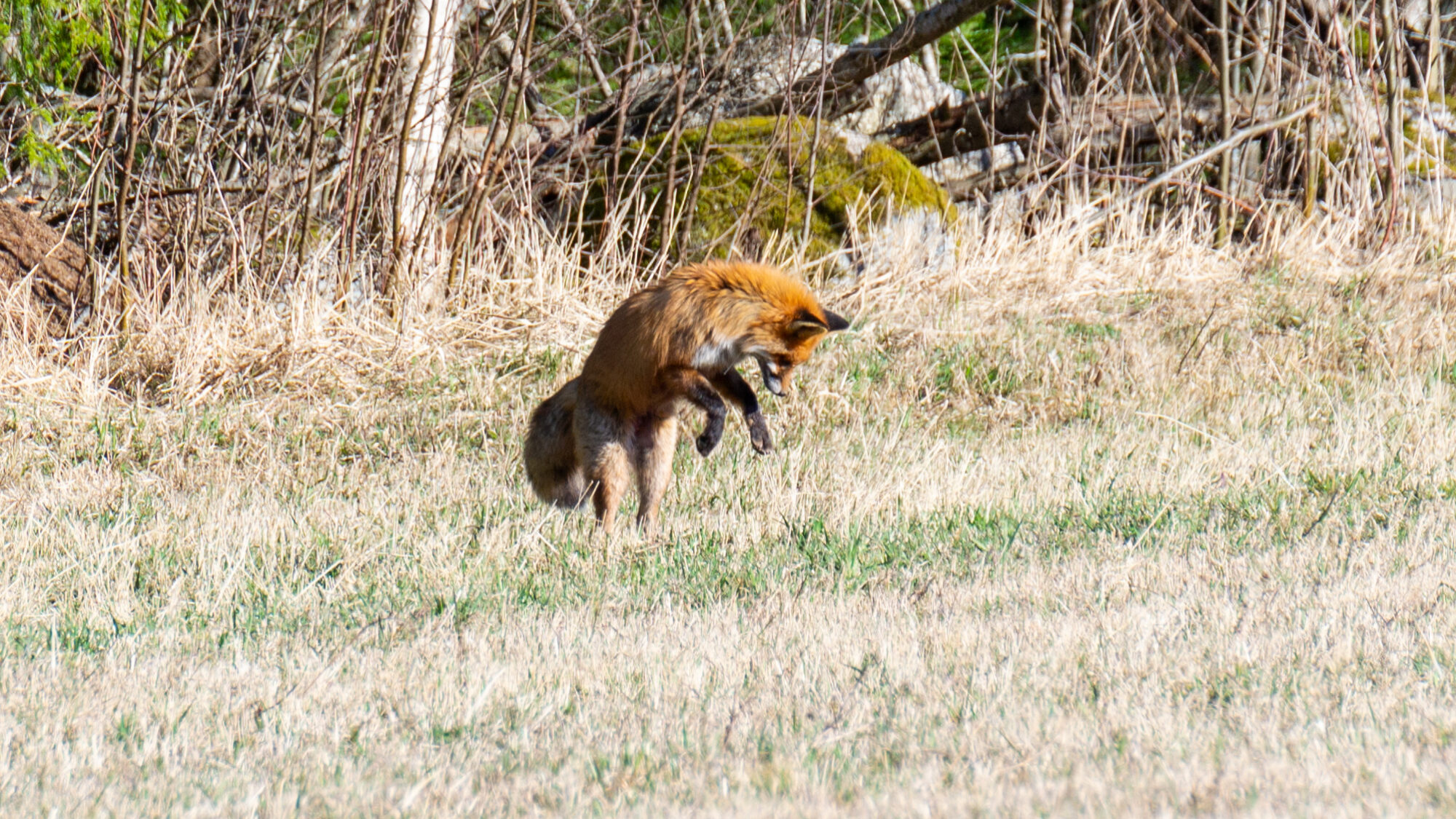 Valokuvaaja: Helena Minkkilä
