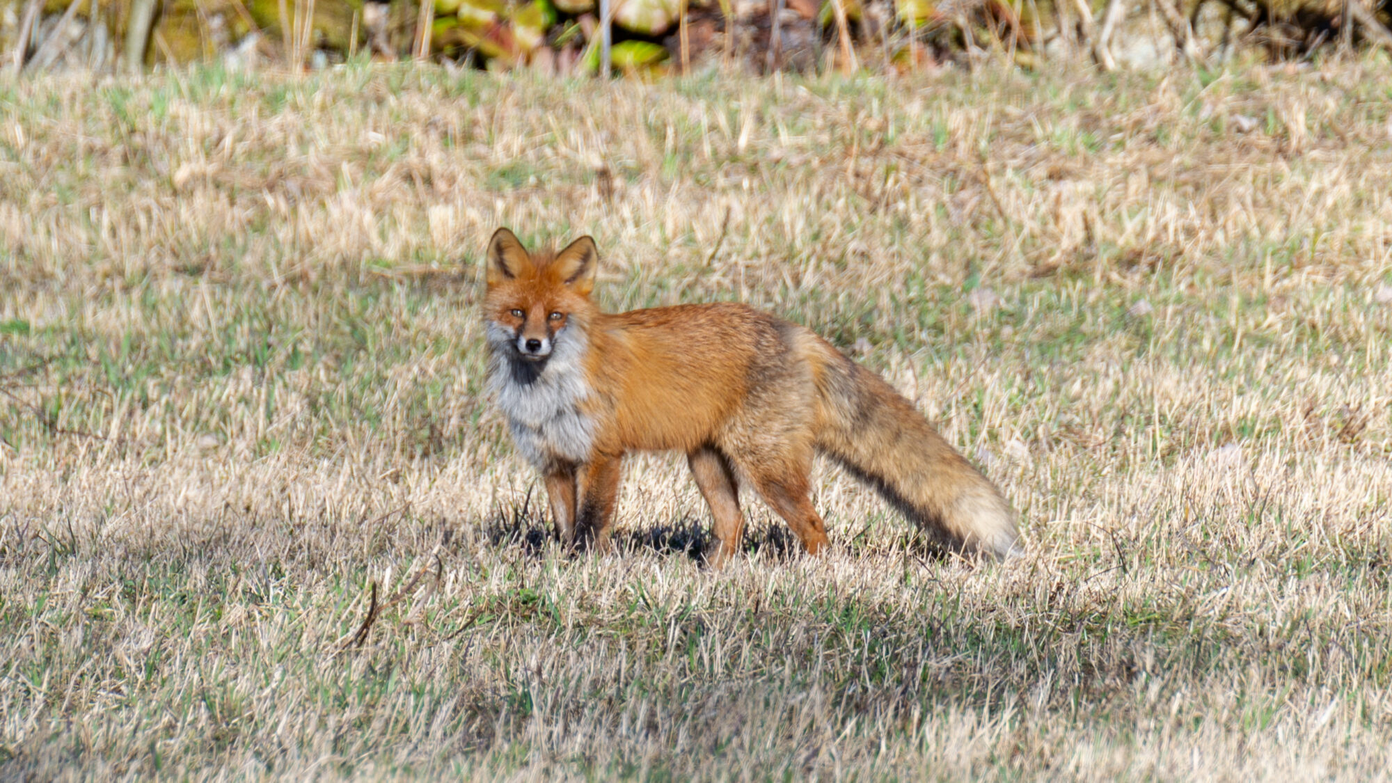 Valokuvaaja: Helena Minkkilä