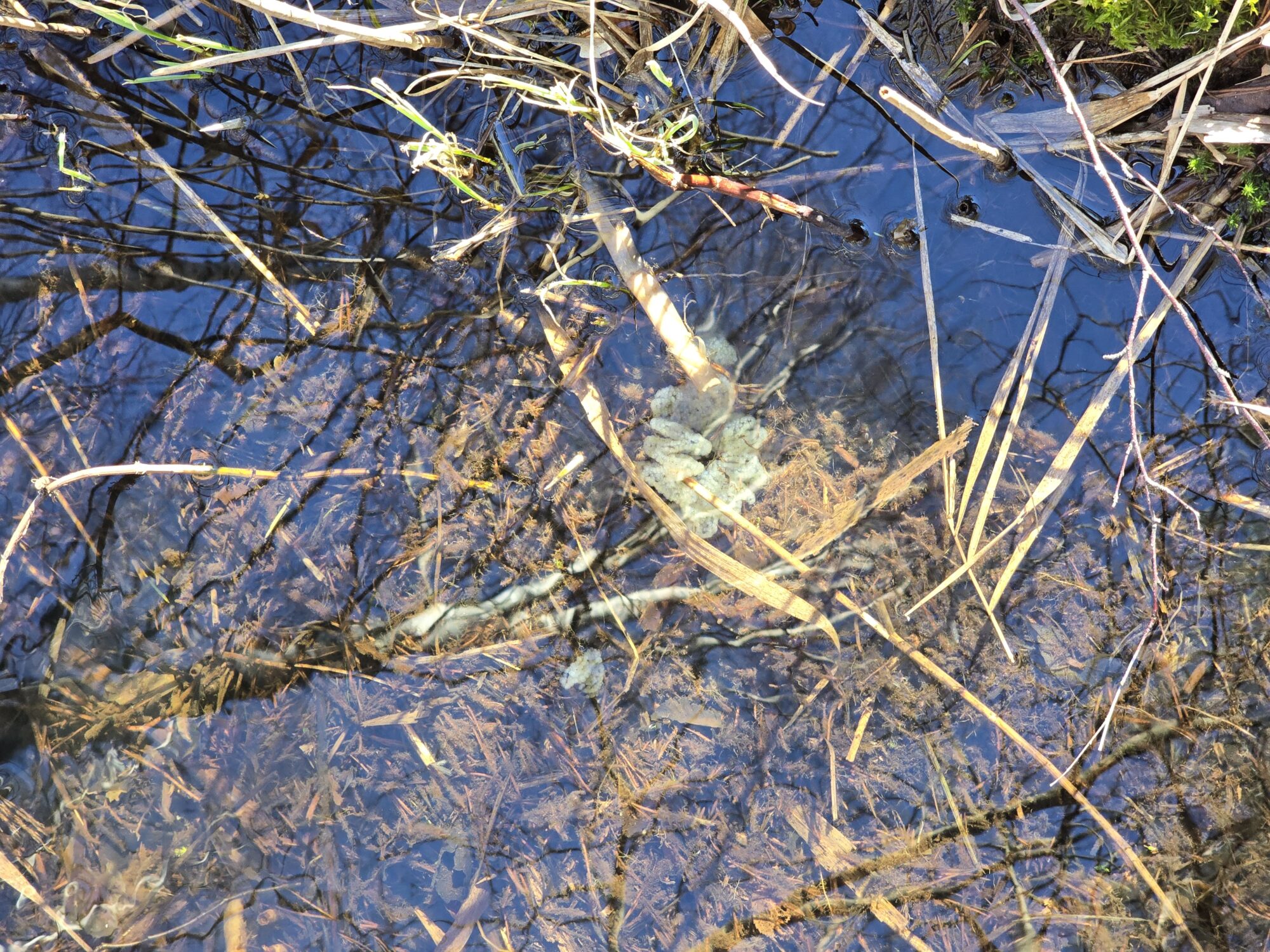 Valokuvaaja: Milla Puikkonen