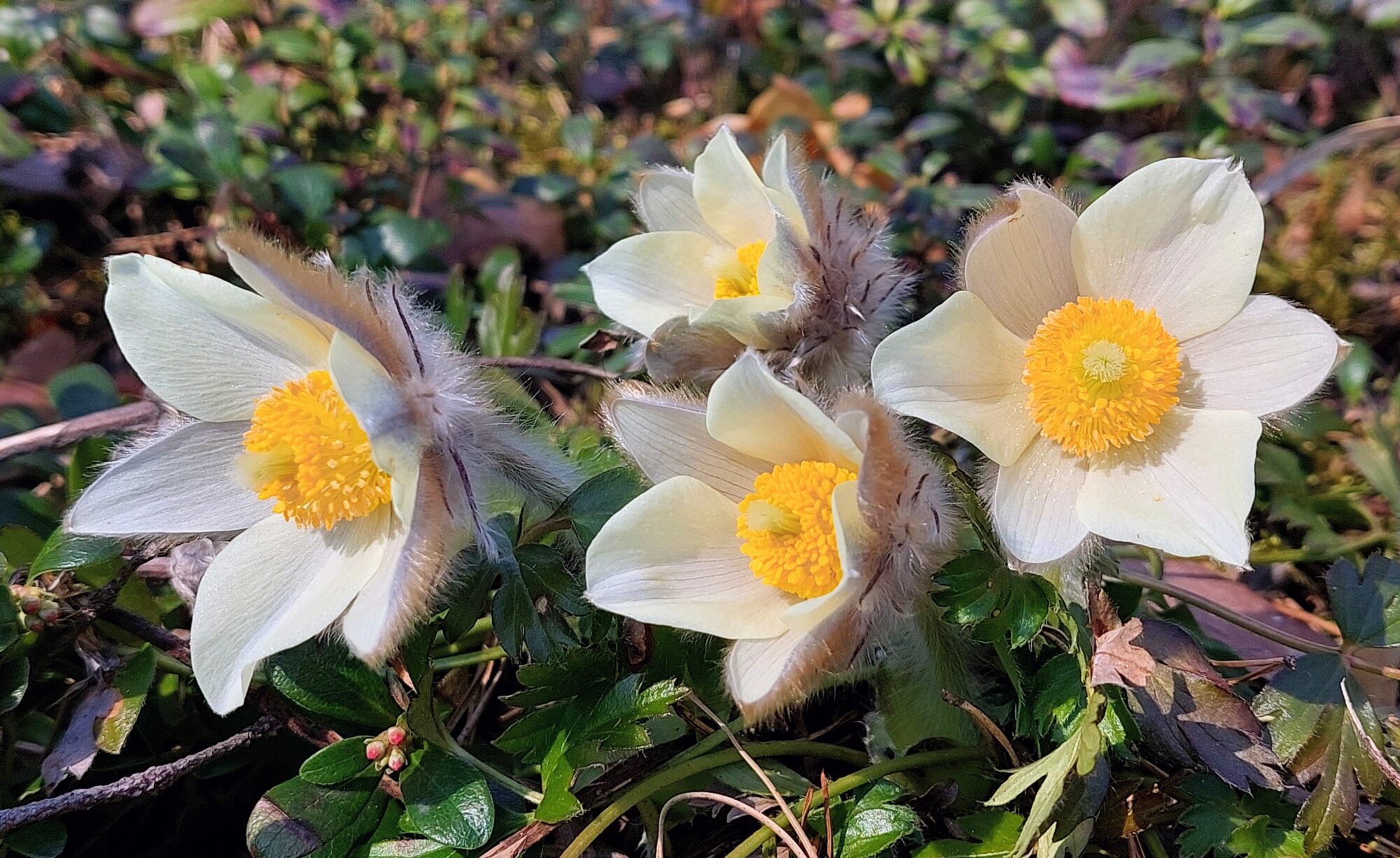 Valokuvaaja: Tarja Naukkarinen