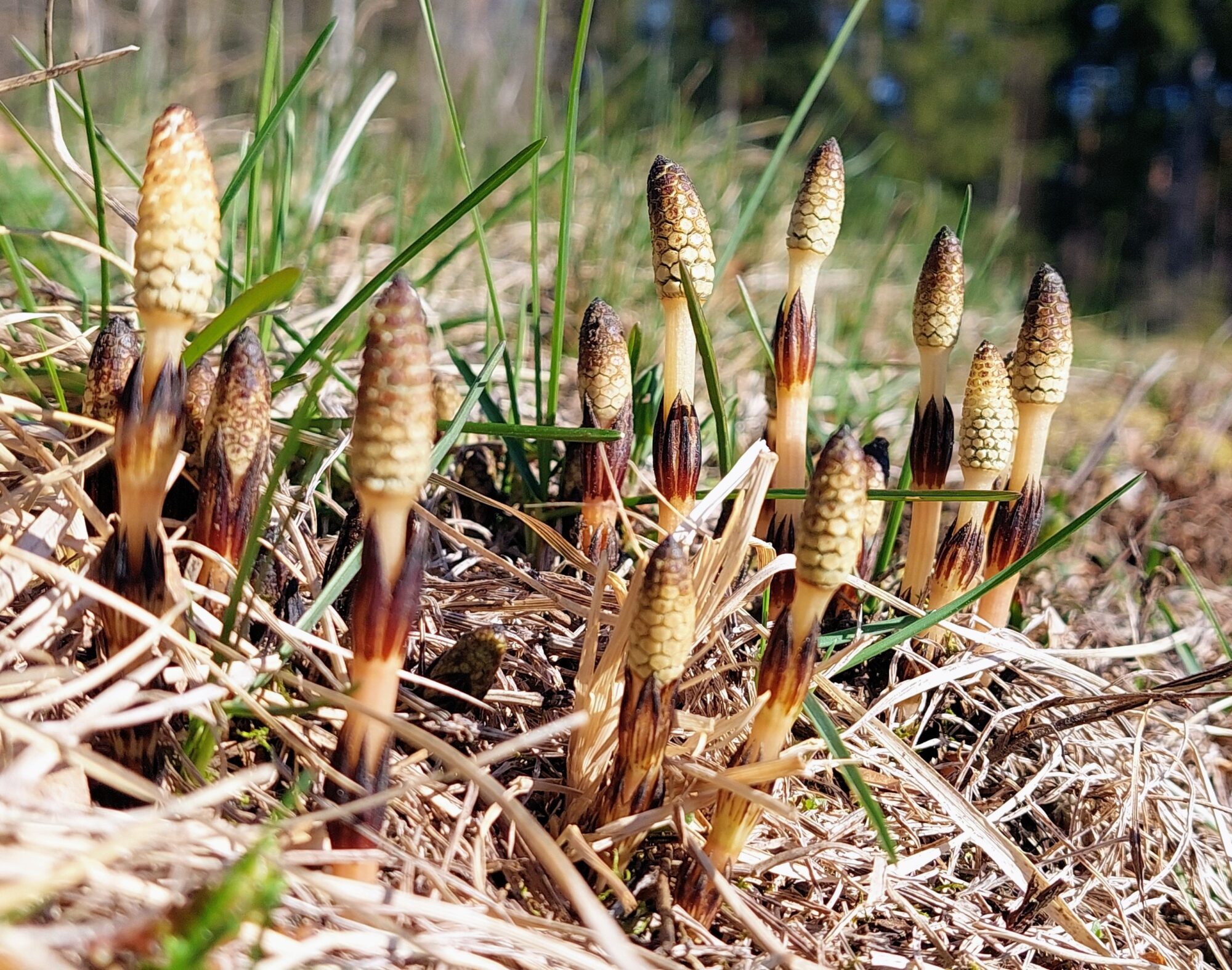 Valokuvaaja: Tarja Naukkarinen