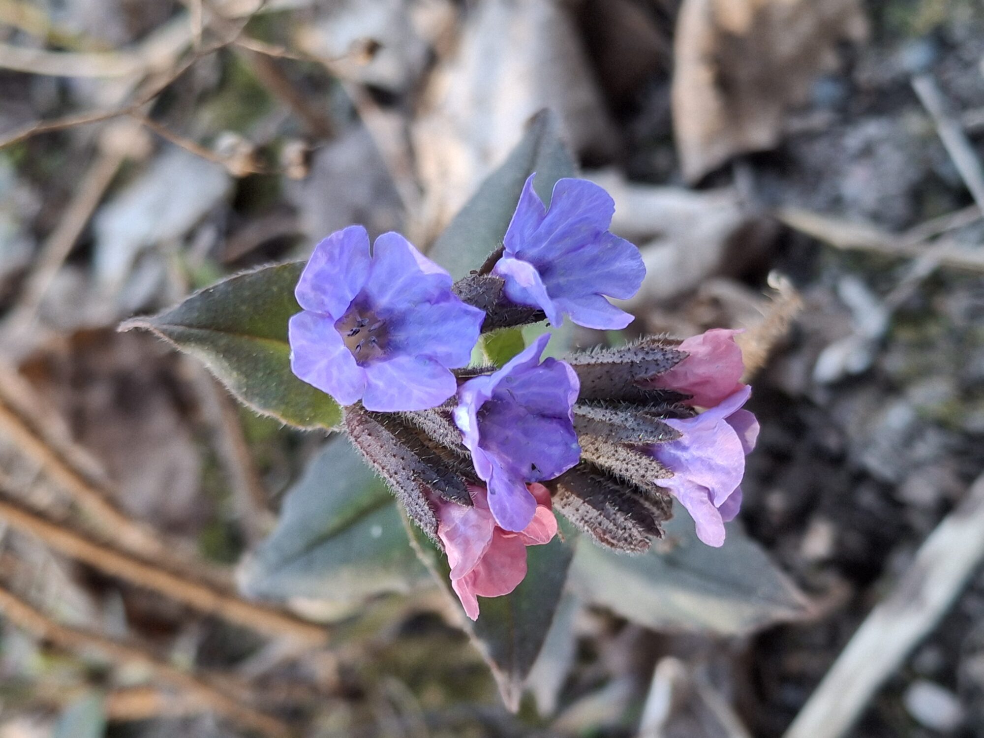 Valokuvaaja: Satu Suuntala