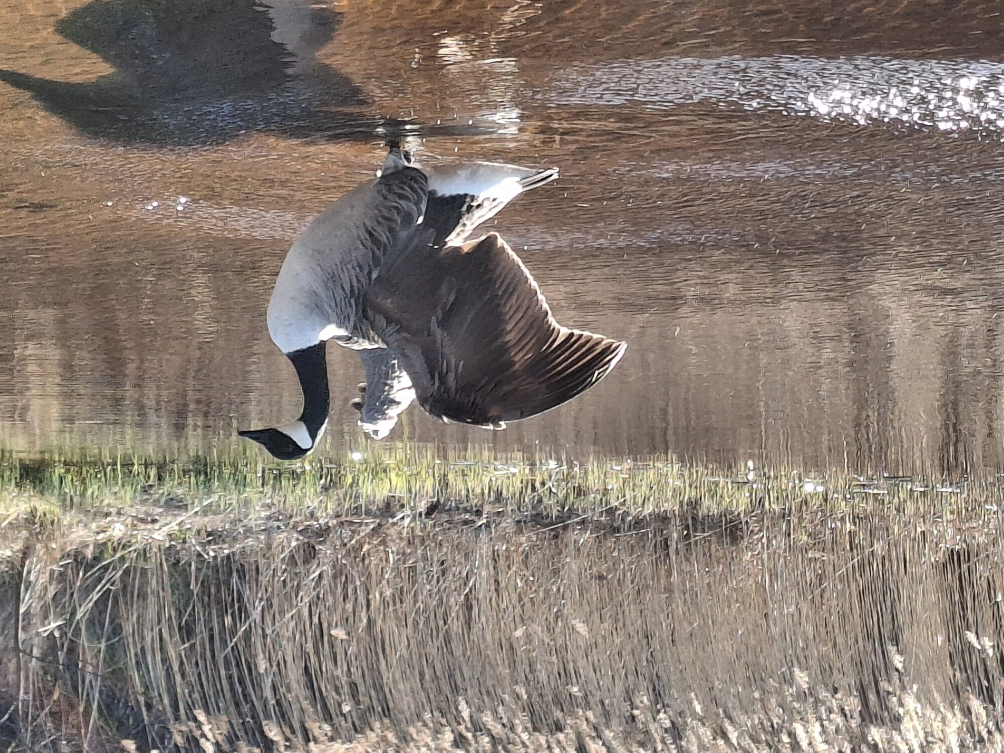 Valokuvaaja: Satu Suuntala
