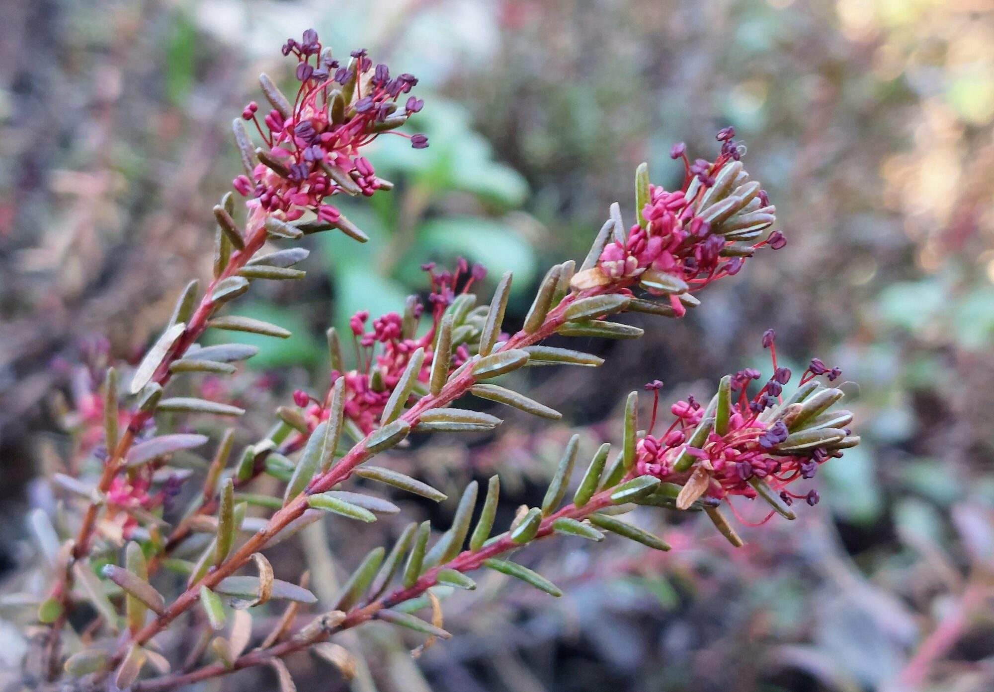 Valokuvaaja: Tarja Naukkarinen