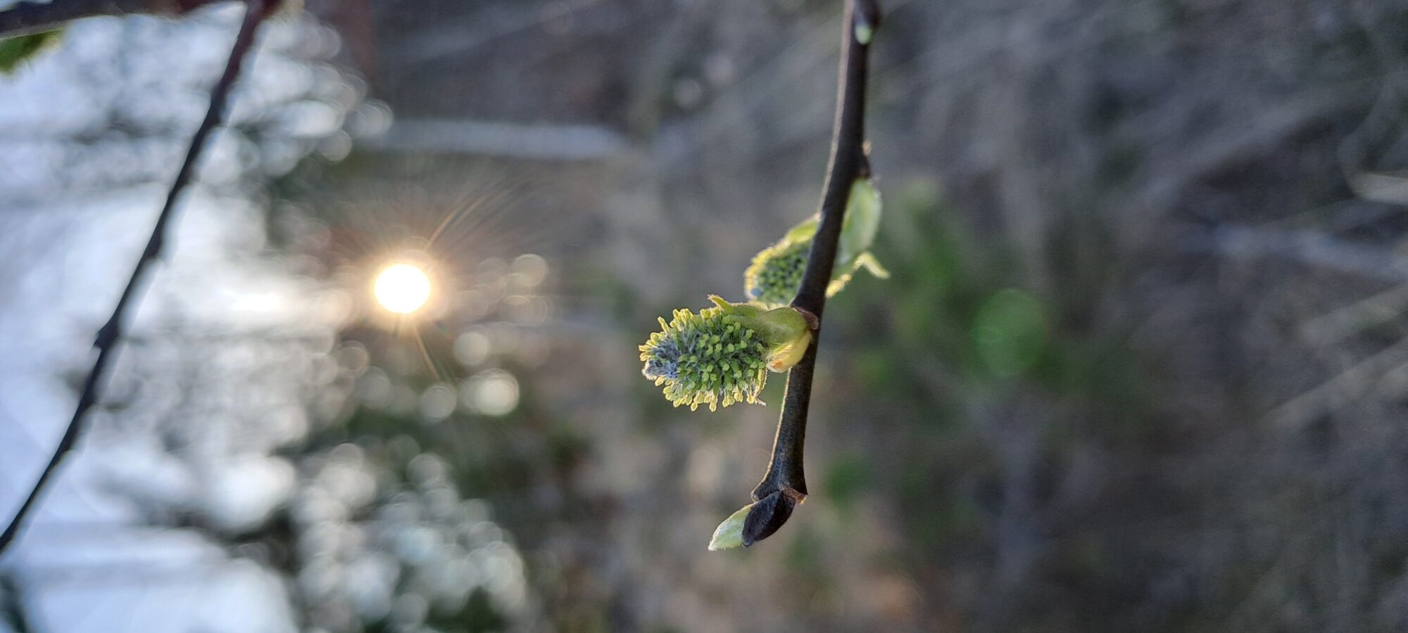 Valokuvaaja: Mirja Suoknuuti