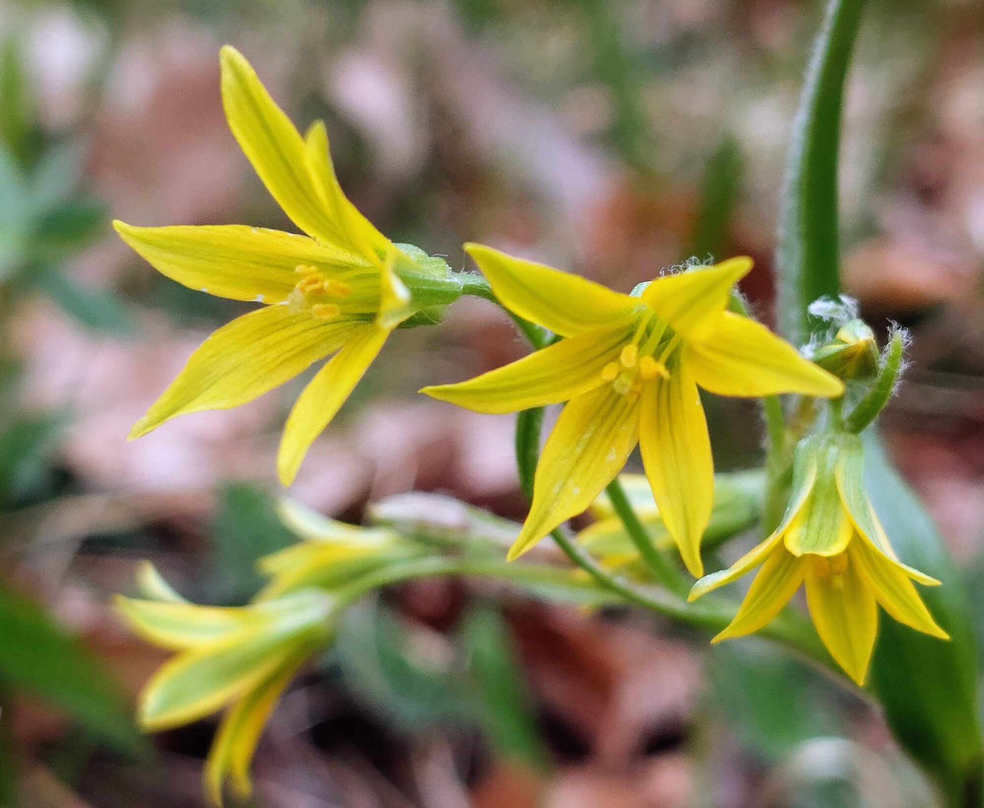 Valokuvaaja: Tarja Naukkarinen