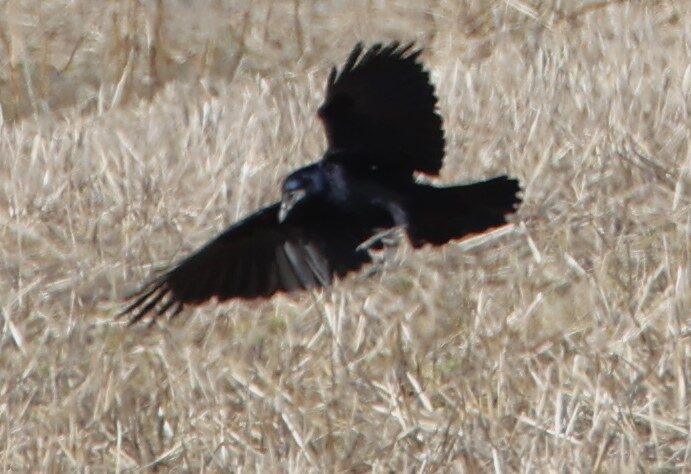 Valokuvaaja: Kaarina Heiskanen
