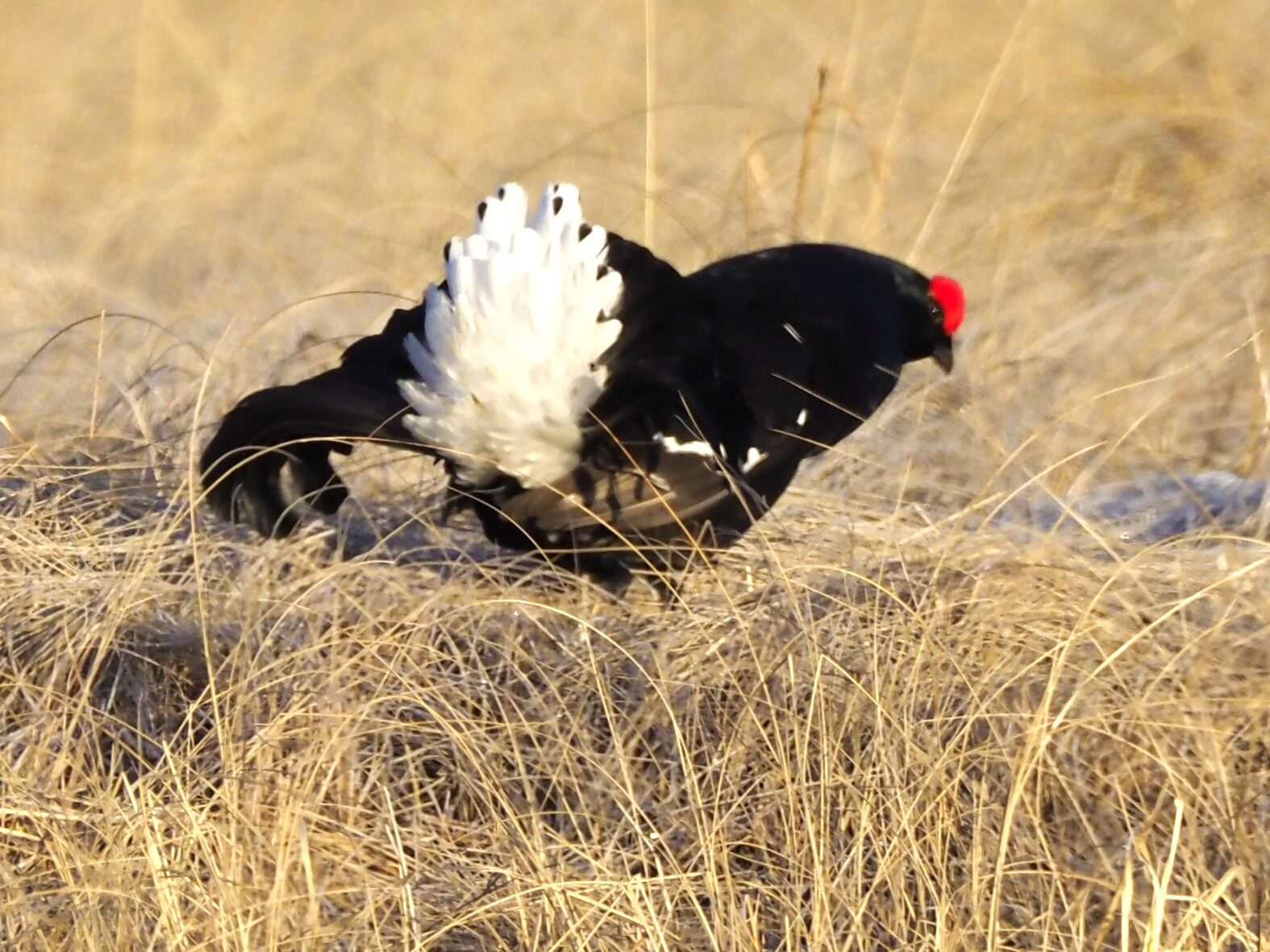 Valokuvaaja: Annikki Kärkkäinen