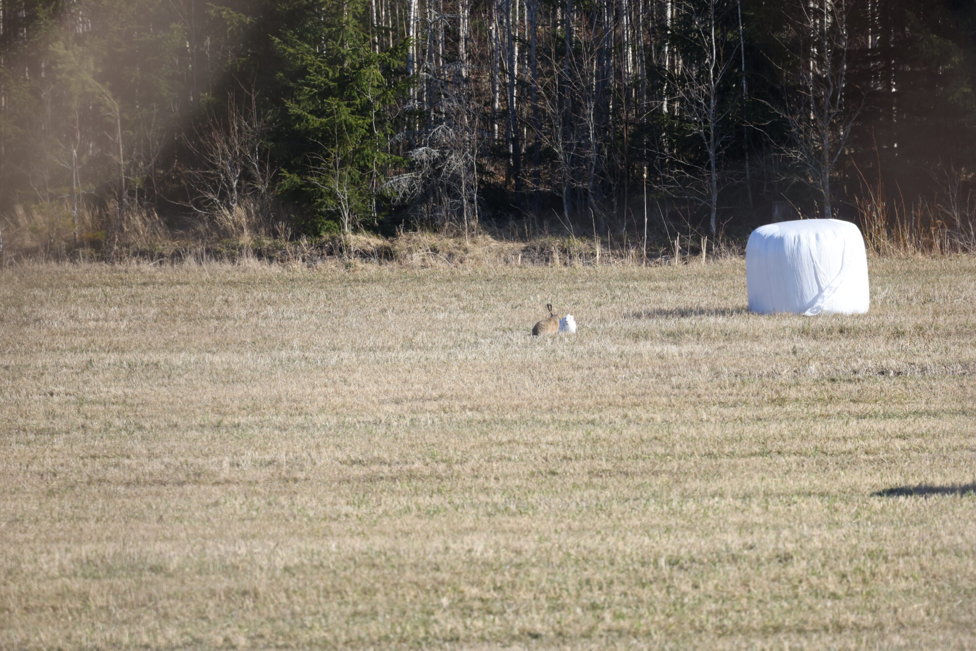Valokuvaaja: Jukka Henriksson