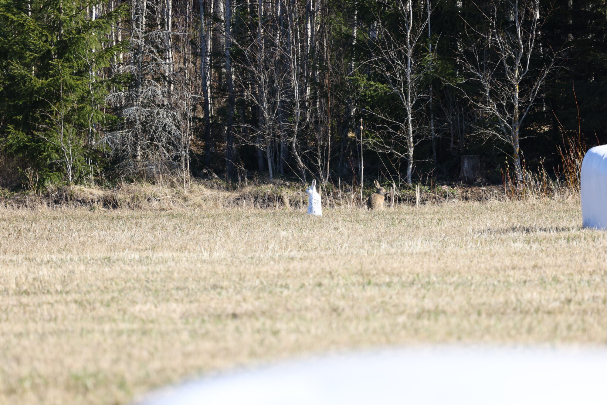 Valokuvaaja: Jukka Henriksson