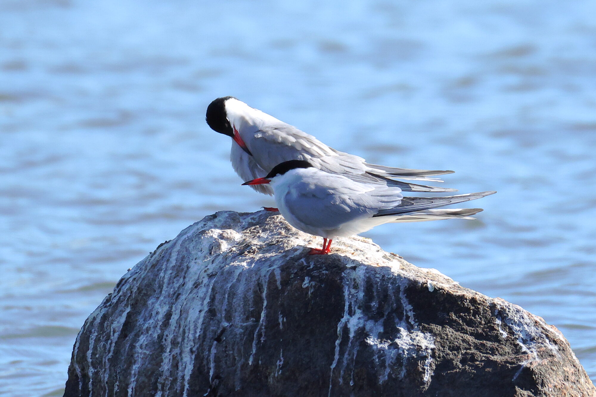 Valokuvaaja: Jouni Kalliomäki