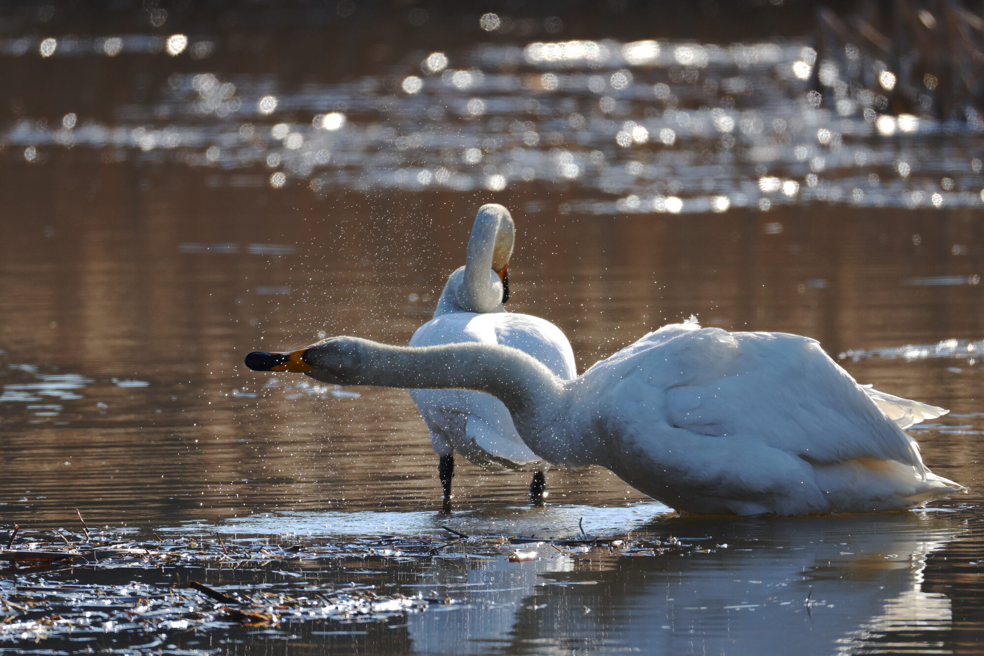 Valokuvaaja: Jouni Kalliomäki