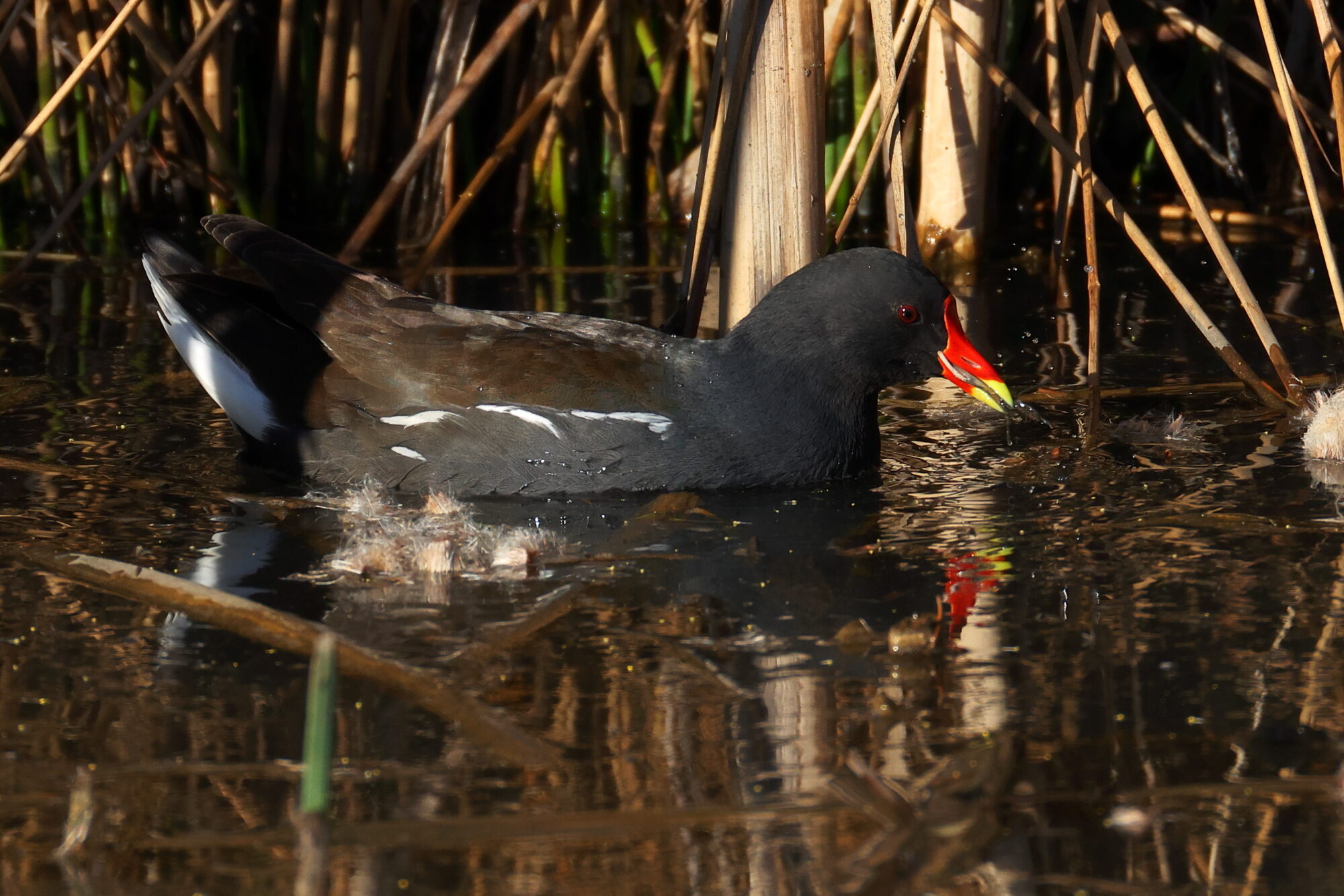 Valokuvaaja: Jouni Kalliomäki