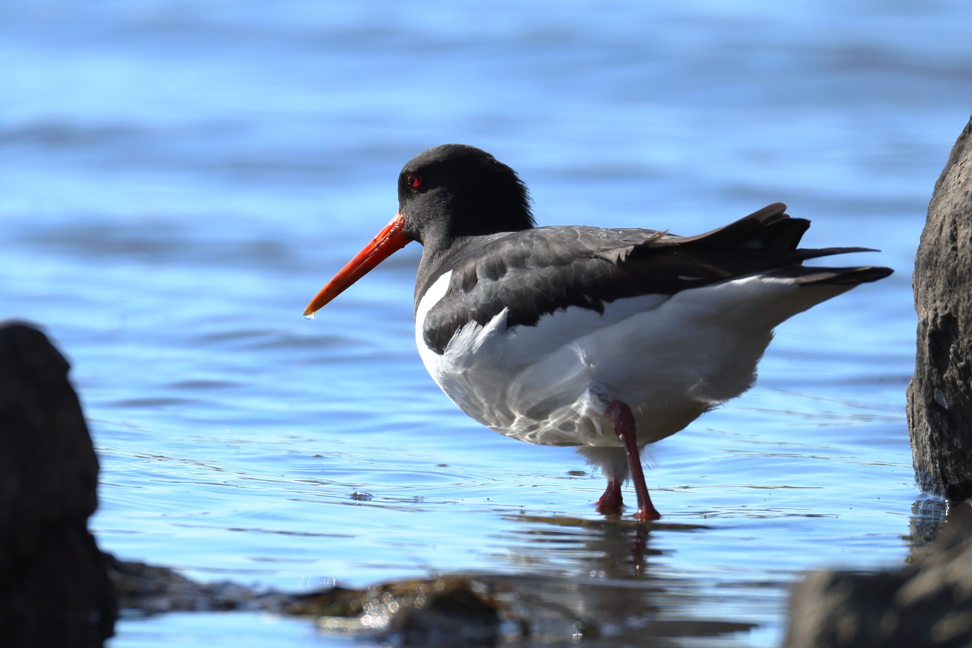 Valokuvaaja: Jouni Kalliomäki