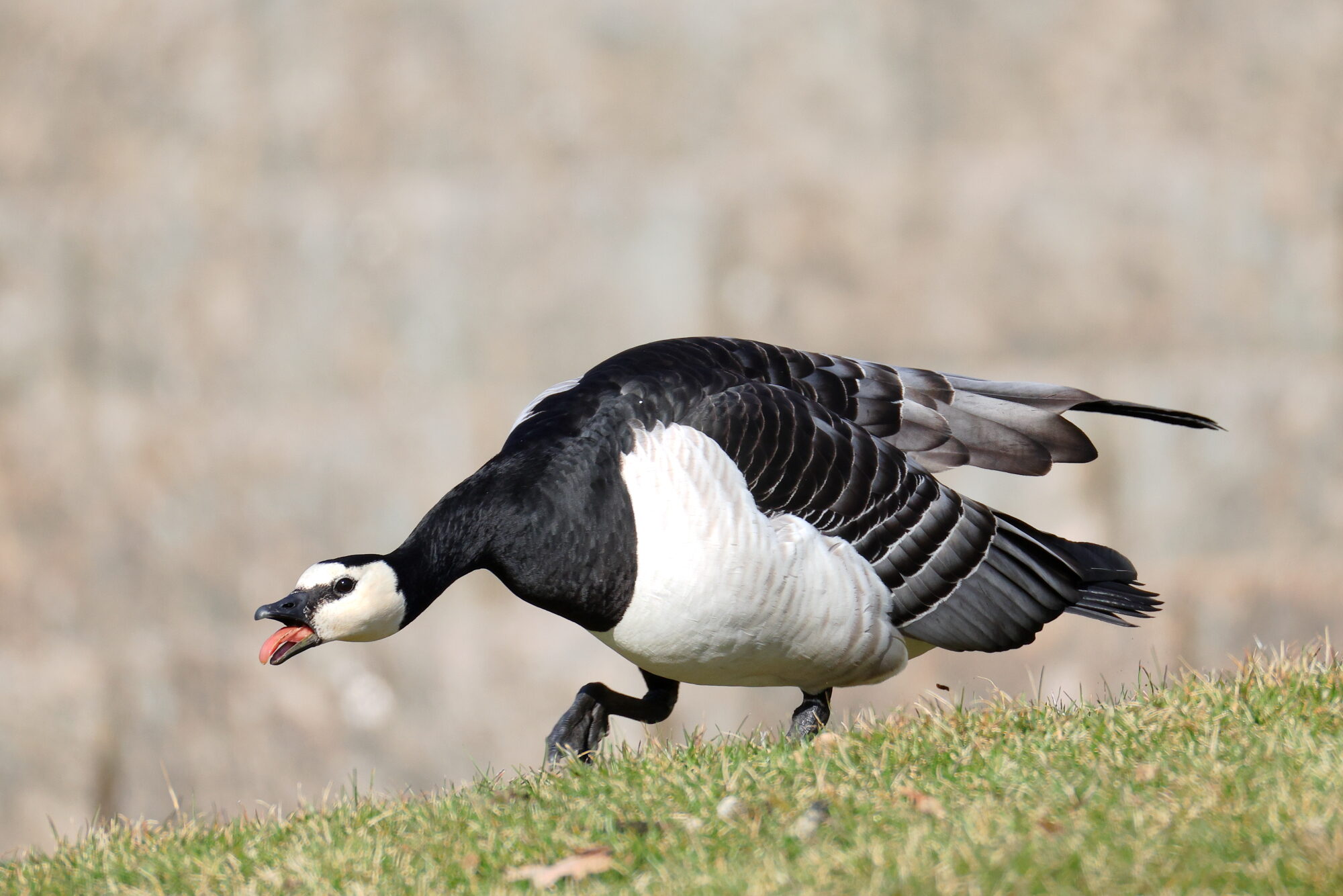 Valokuvaaja: Jouni Kalliomäki