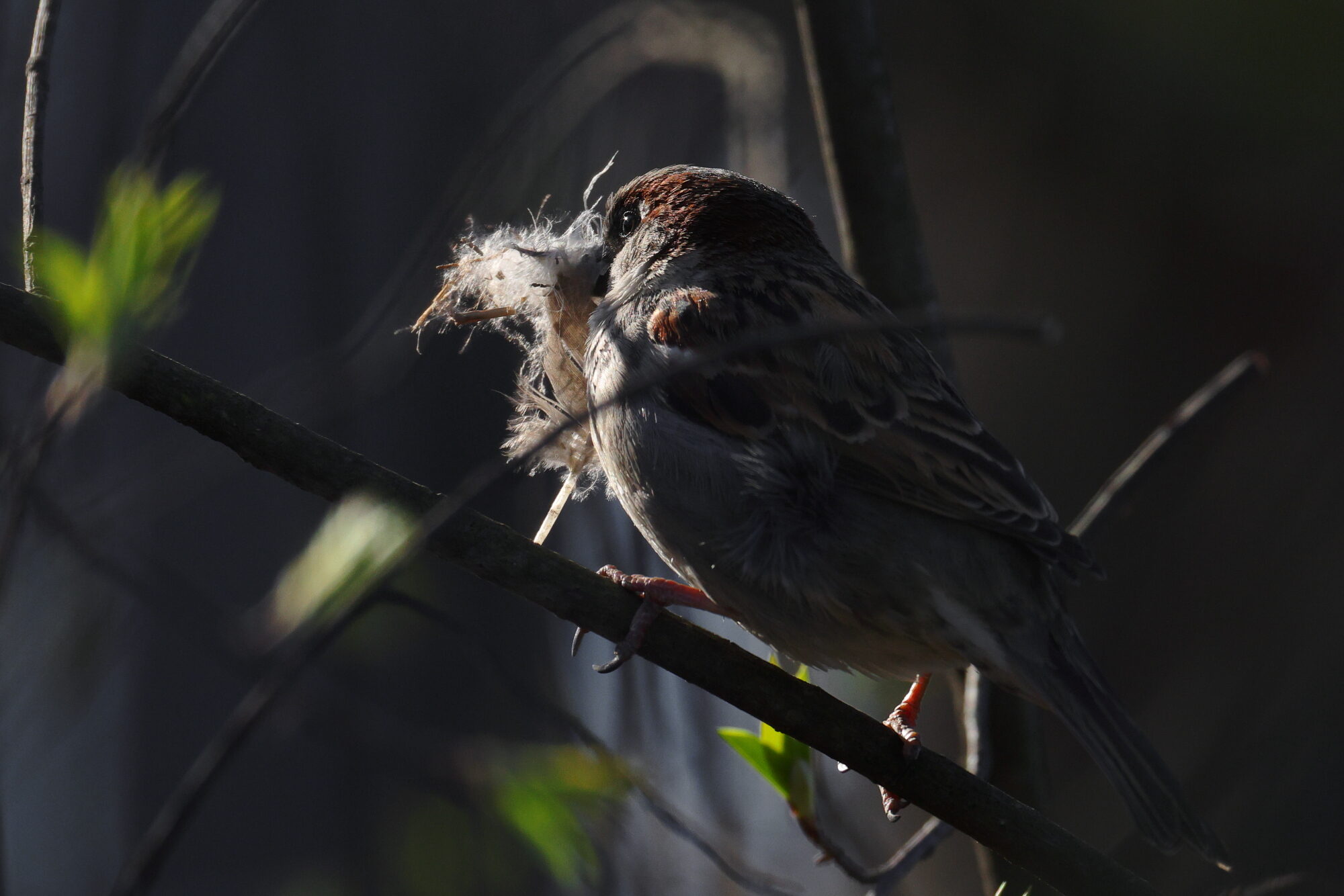 Valokuvaaja: Jouni Kalliomäki