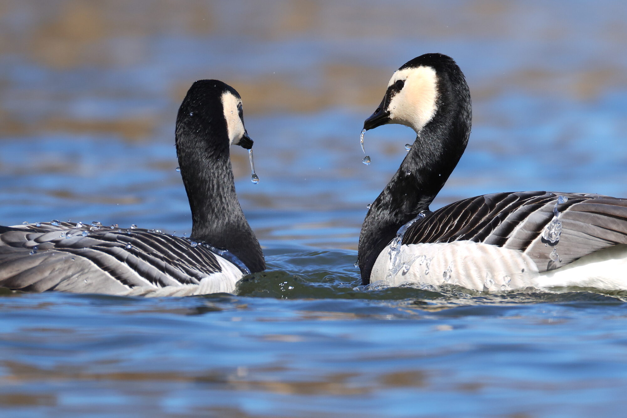 Valokuvaaja: Jouni Kalliomäki