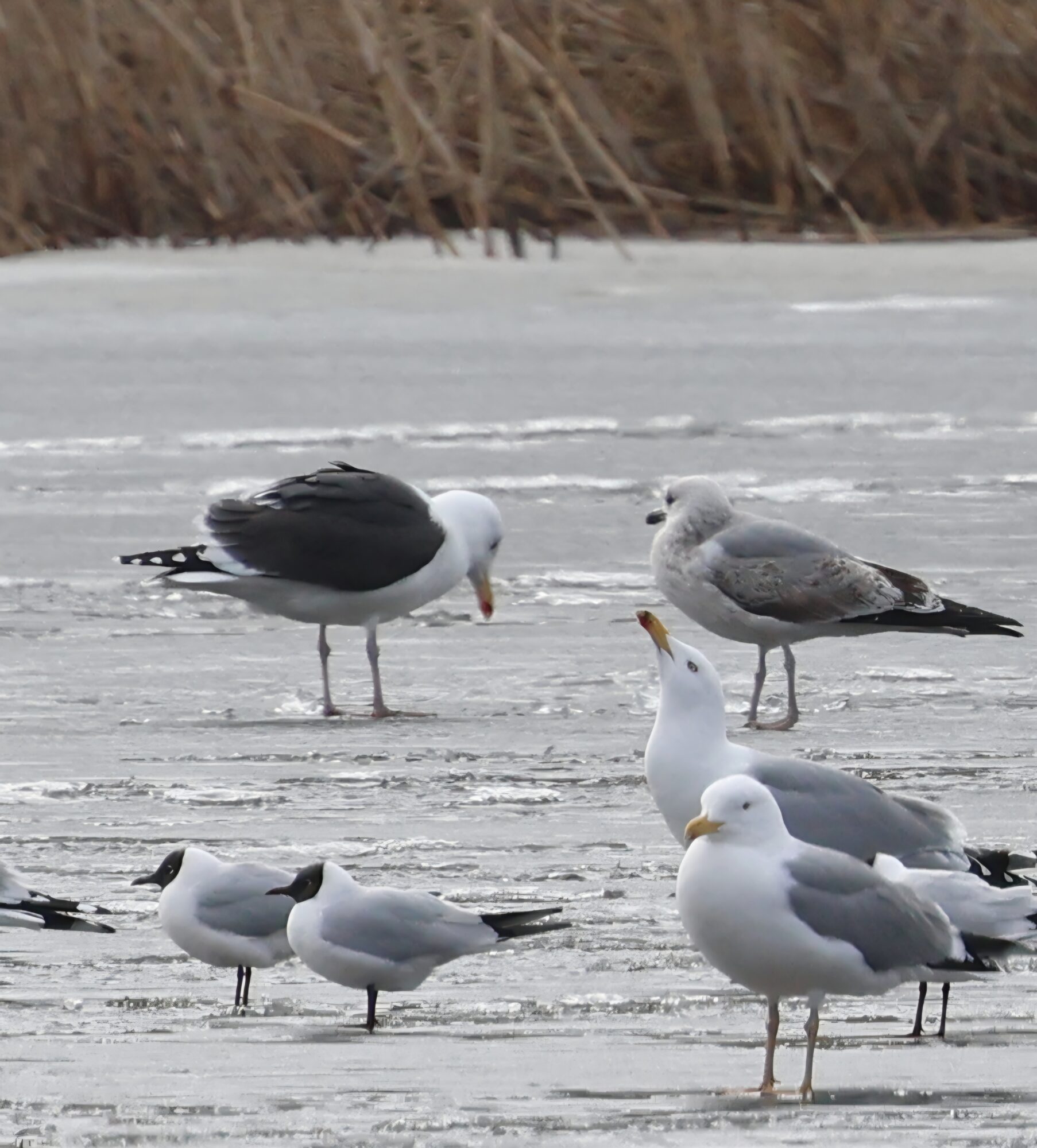 Valokuvaaja: Hanna Rönty