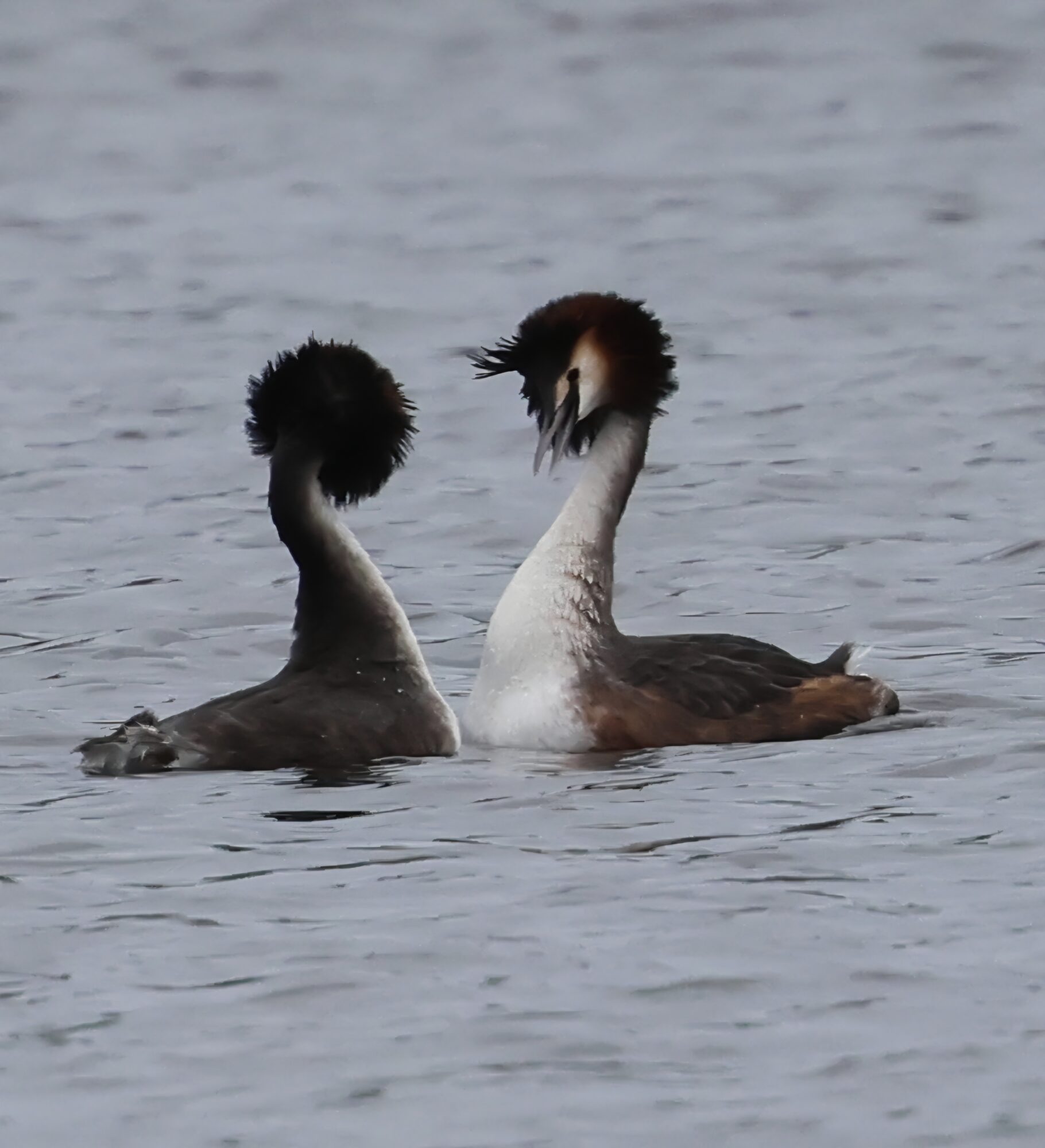 Valokuvaaja: Hanna Rönty