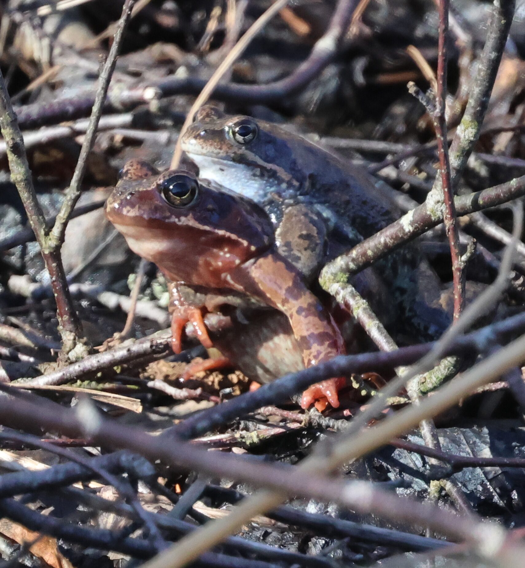 Valokuvaaja: Hanna Rönty