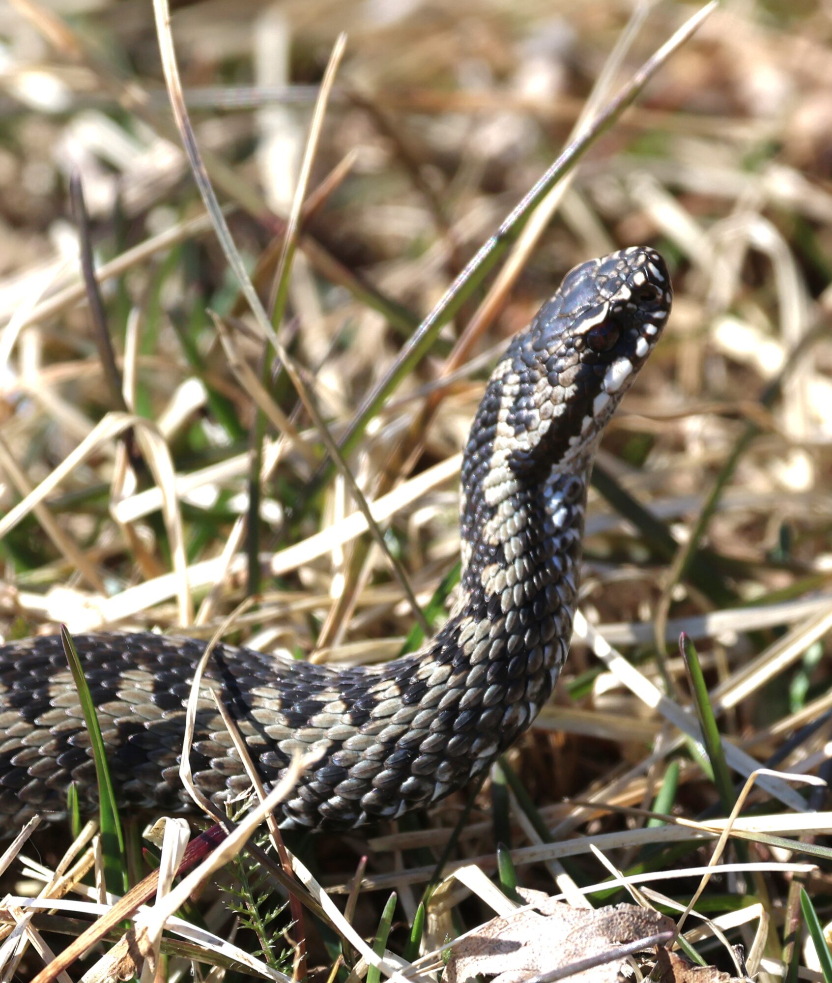Valokuvaaja: Hanna Rönty