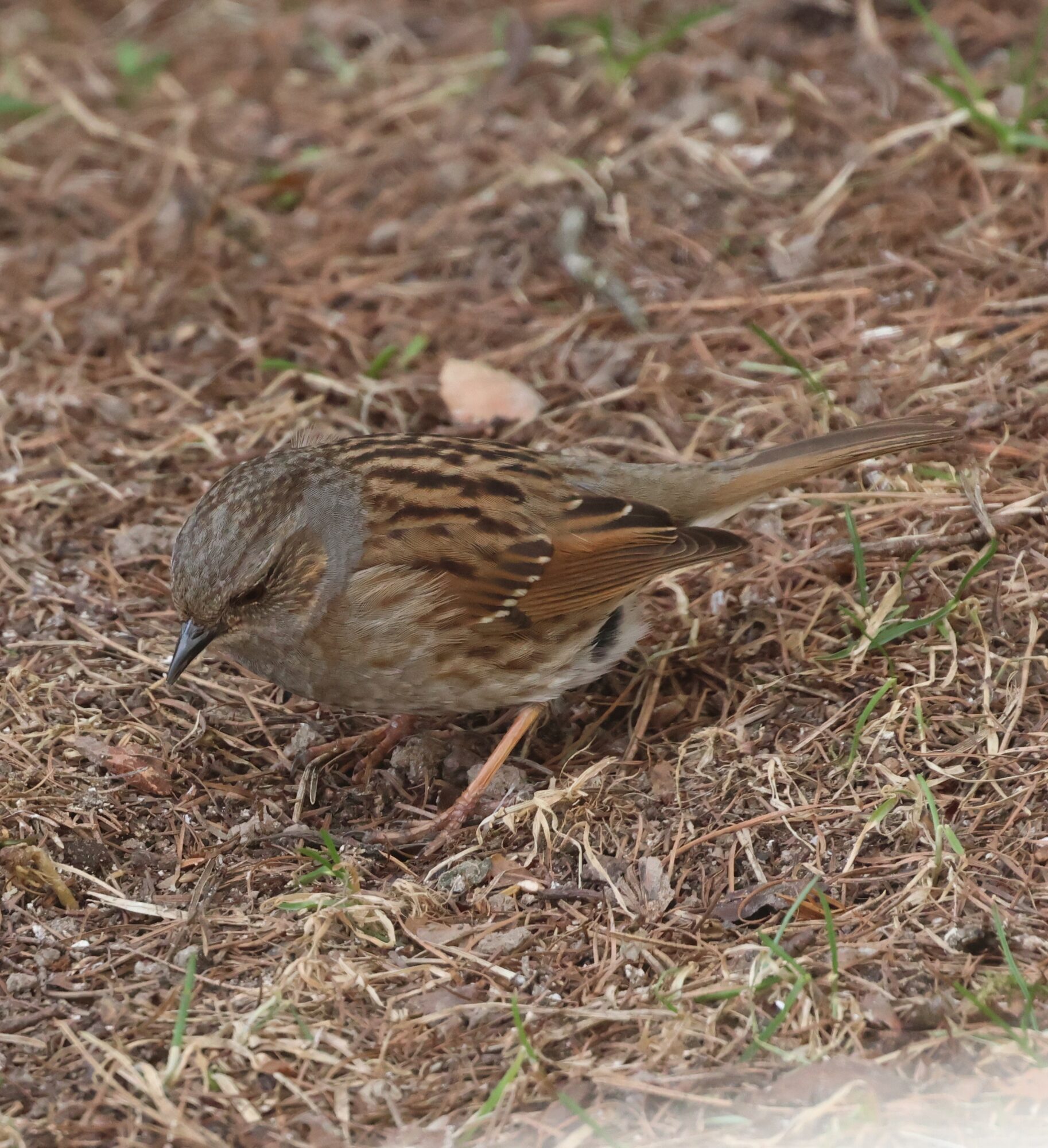 Valokuvaaja: Hanna Rönty