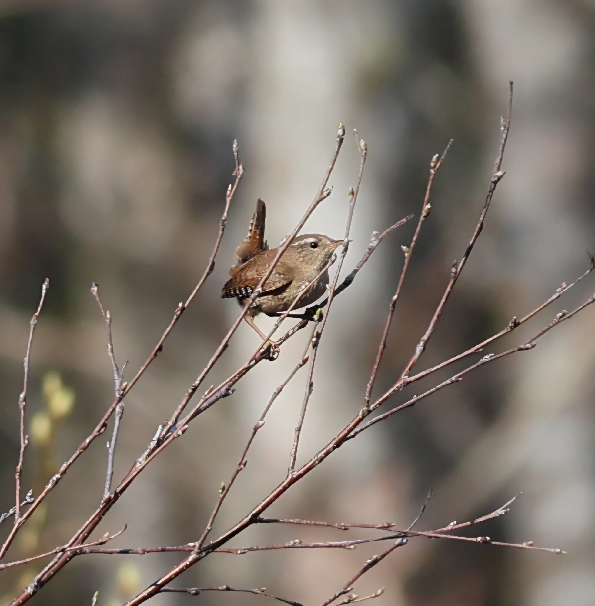 Valokuvaaja: Hanna Rönty