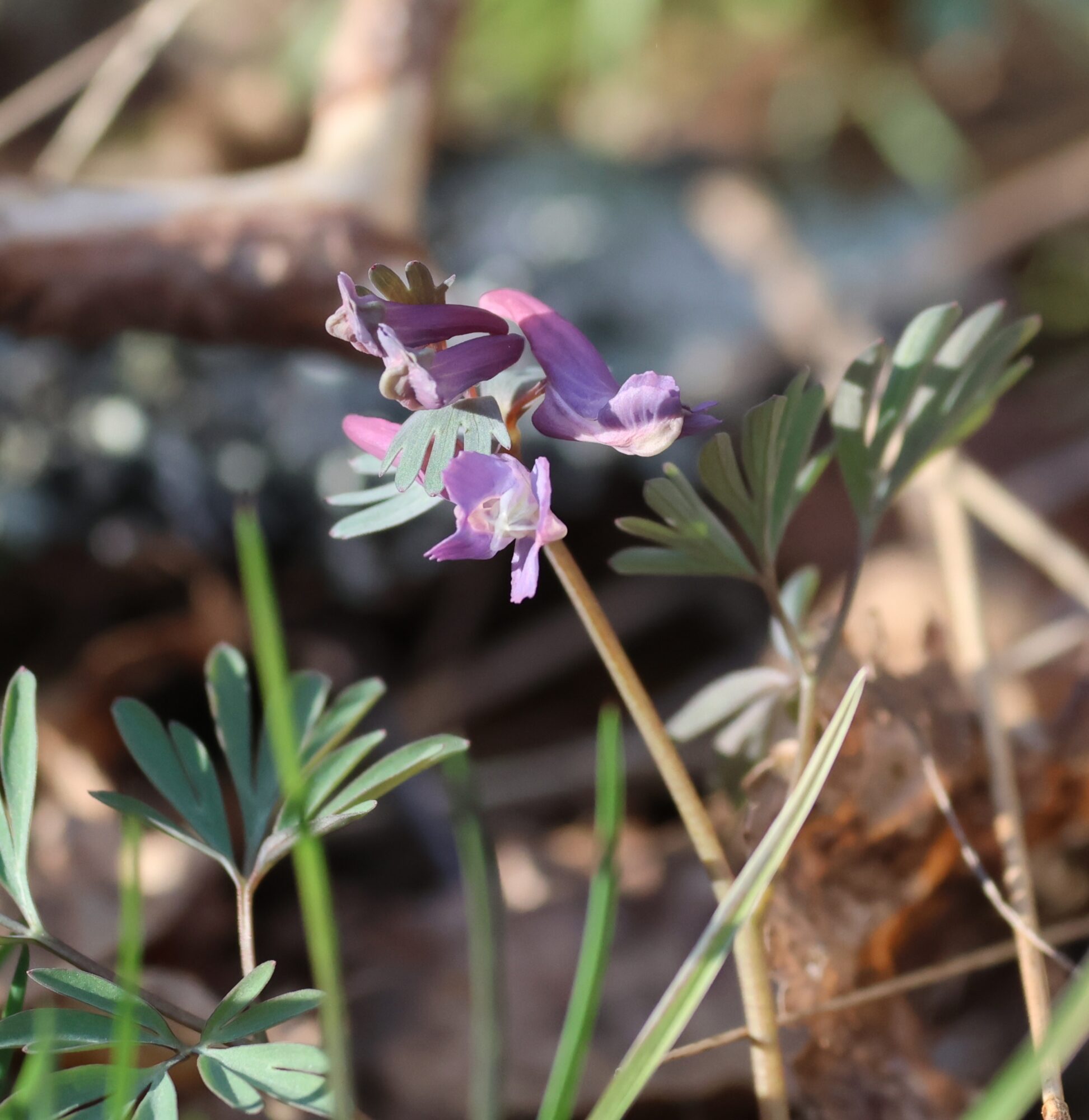 Valokuvaaja: Hanna Rönty