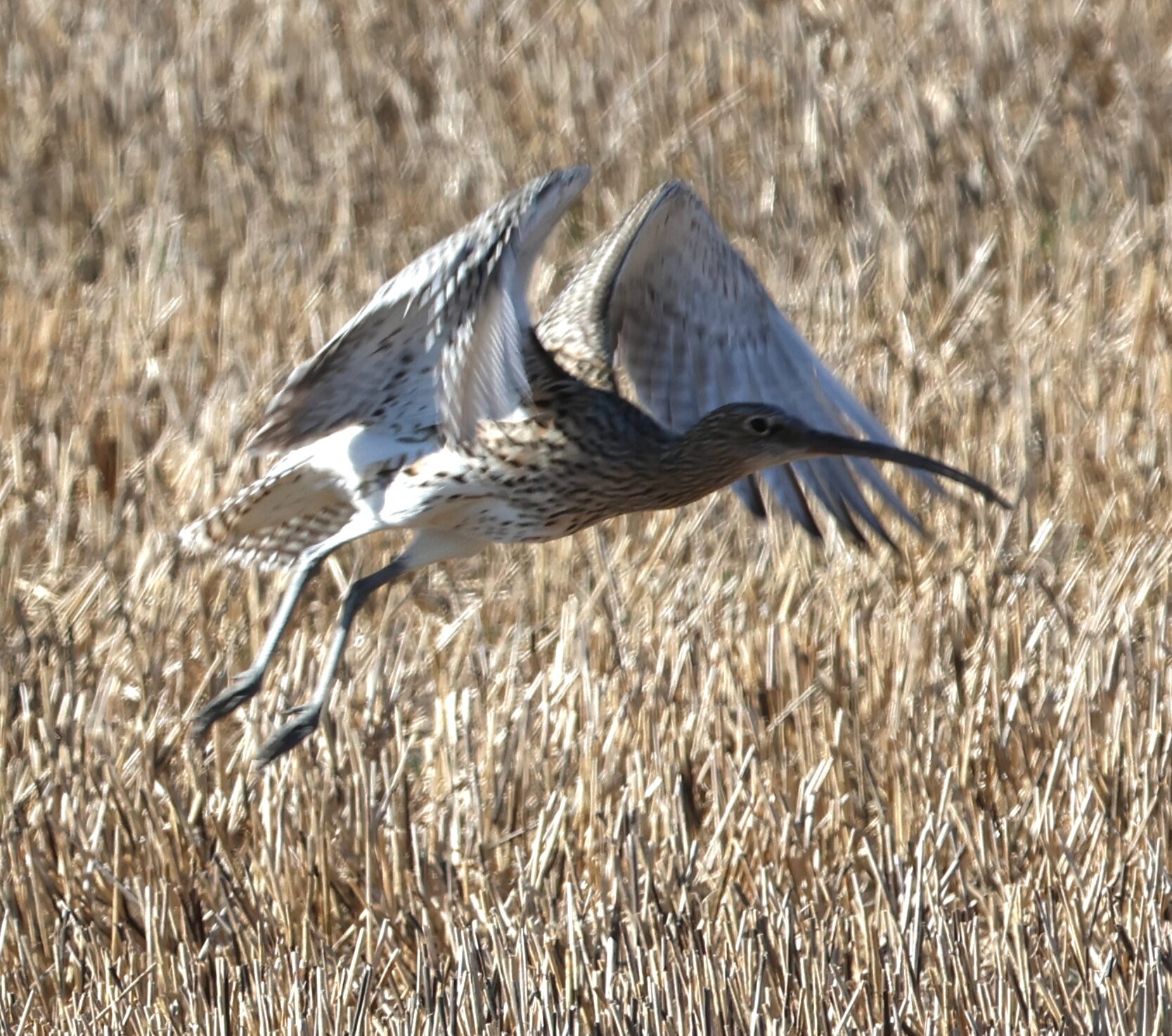 Valokuvaaja: Hanna Rönty