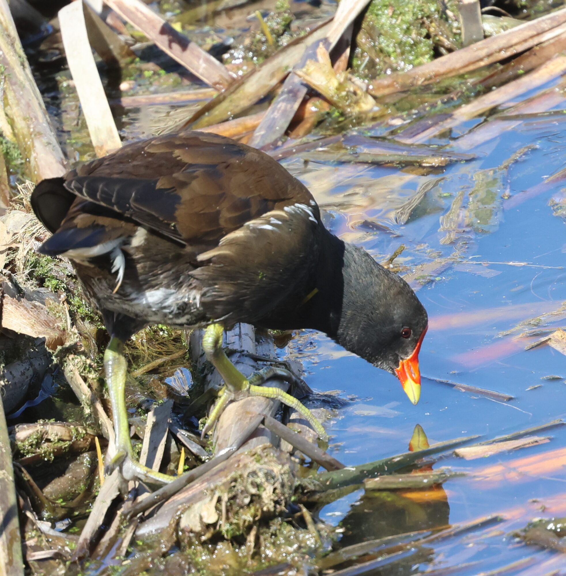 Valokuvaaja: Hanna Rönty