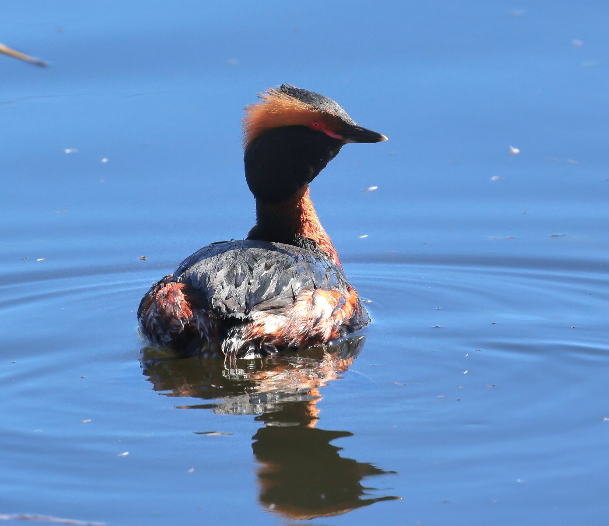 Valokuvaaja: Hanna Rönty