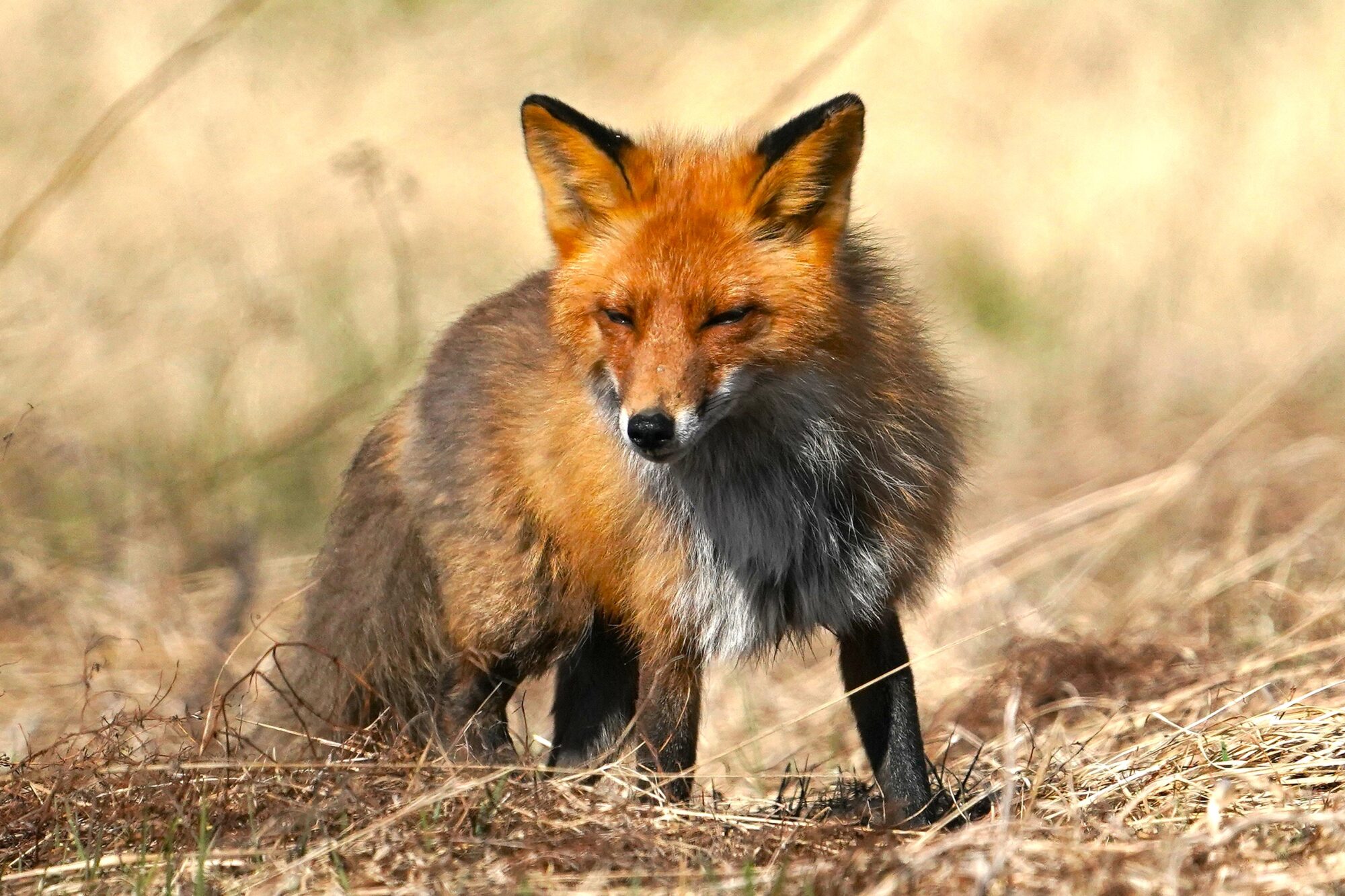 Valokuvaaja: Jouni Tanner